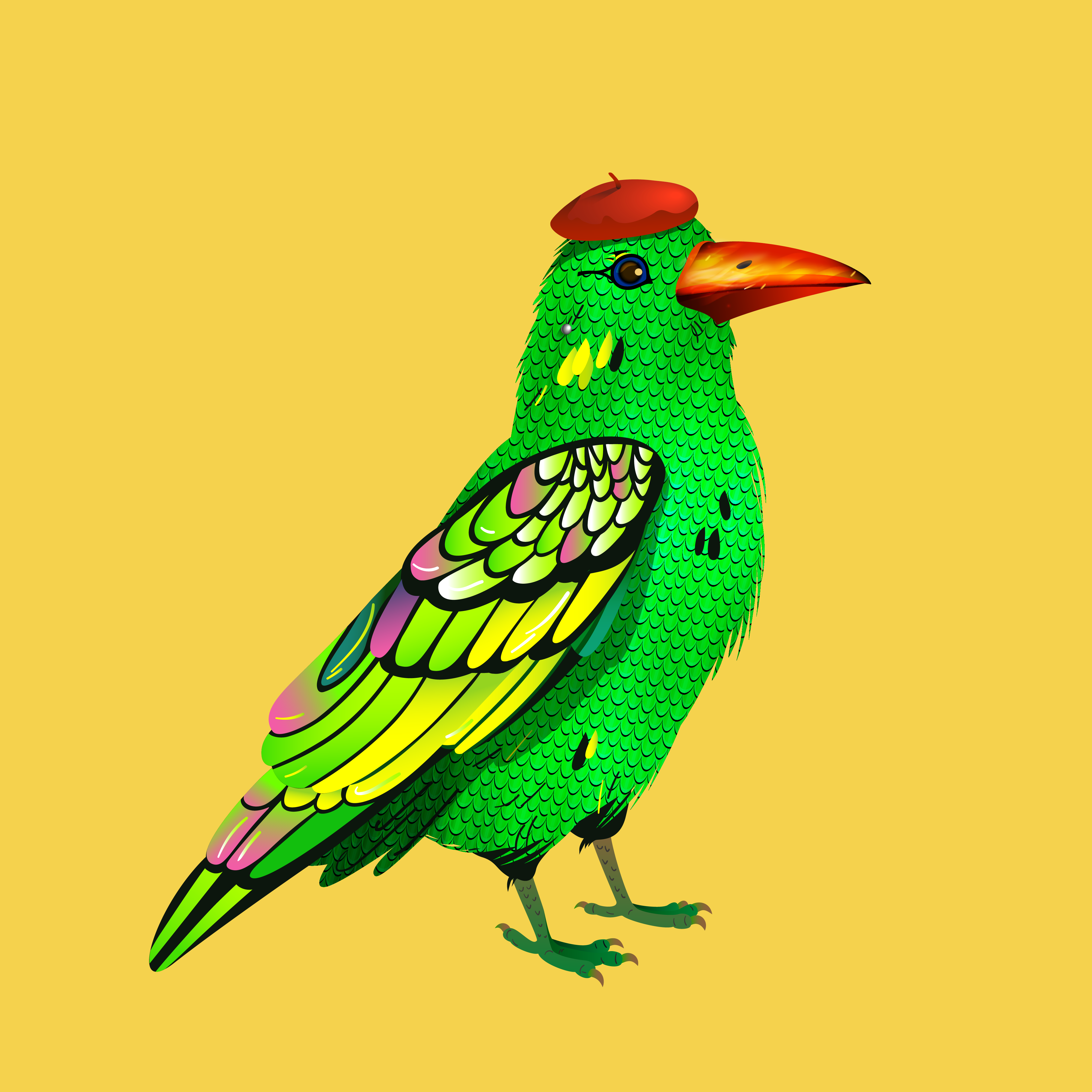 Crazy Crow #514