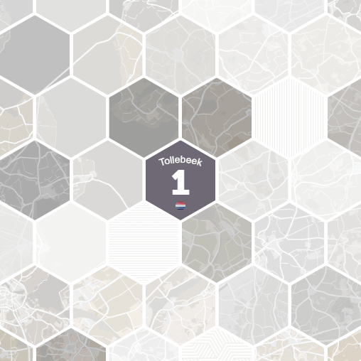 Tollebeek