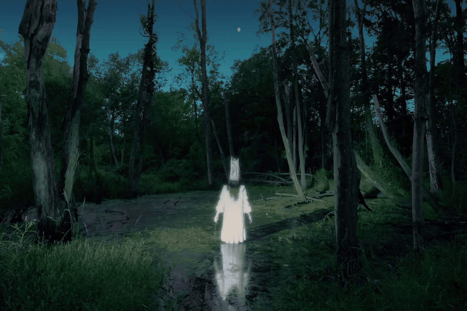 I Am The Swamp Queen