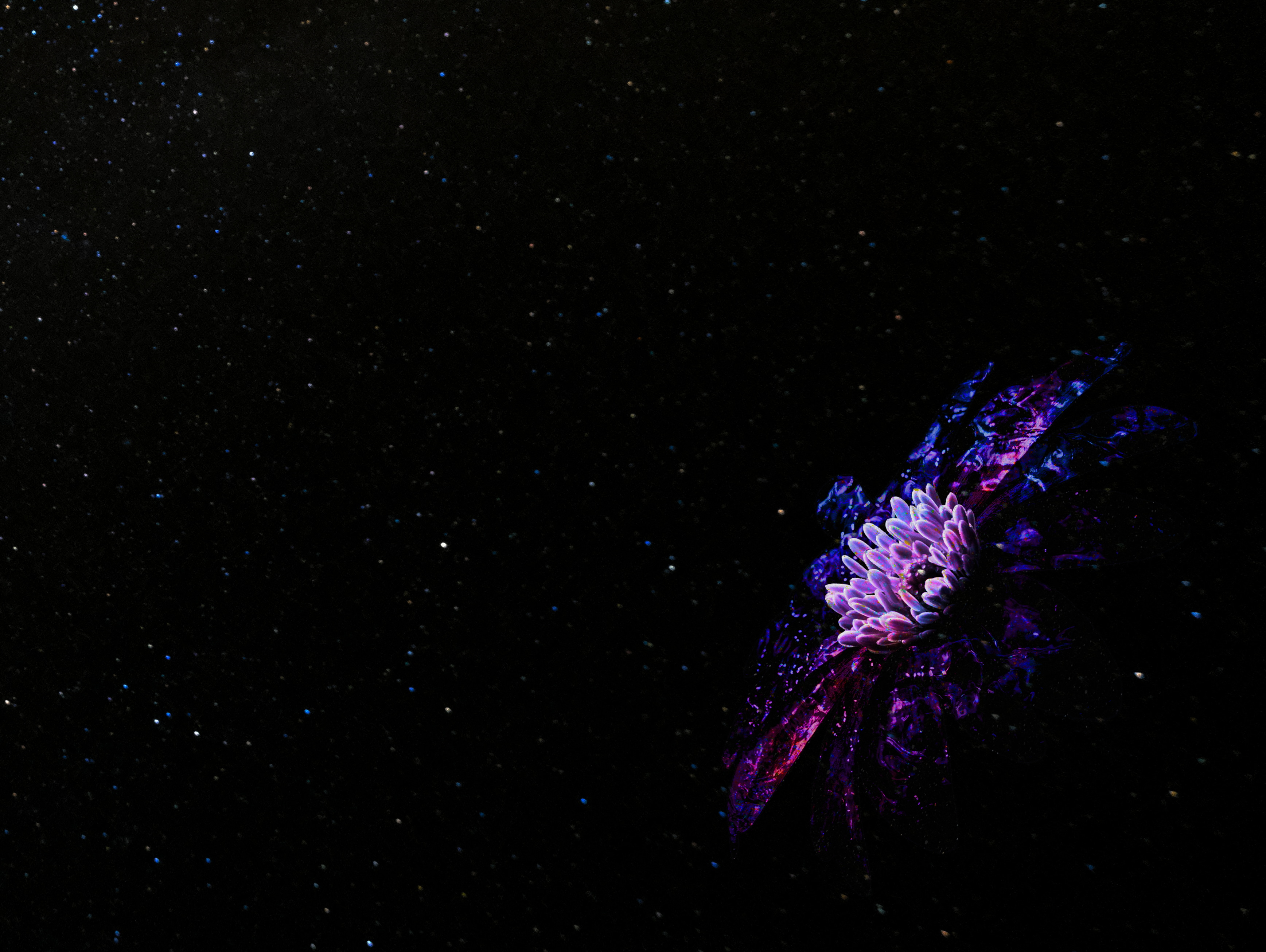 Flower Galaxy