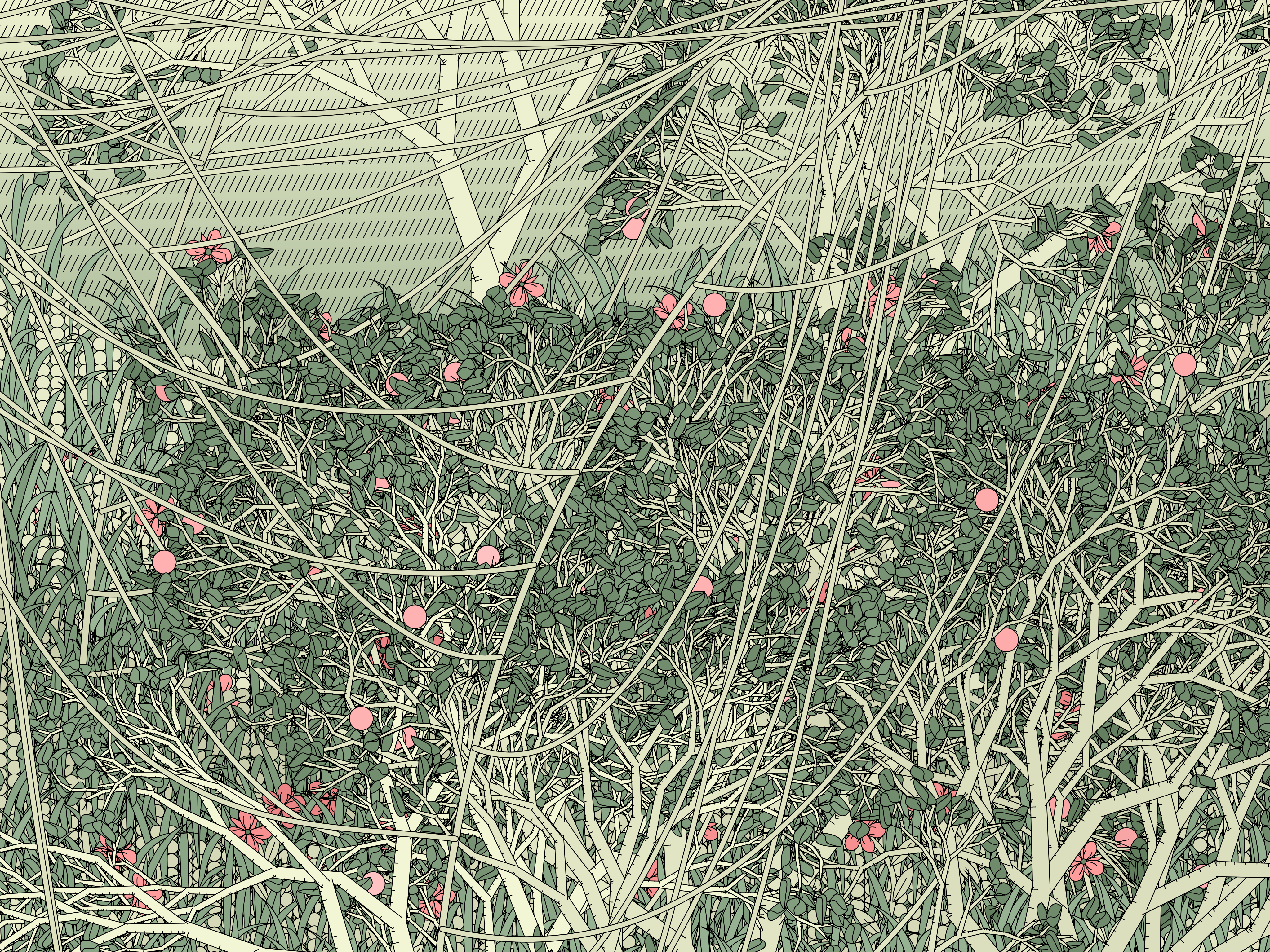 Entangled #430
