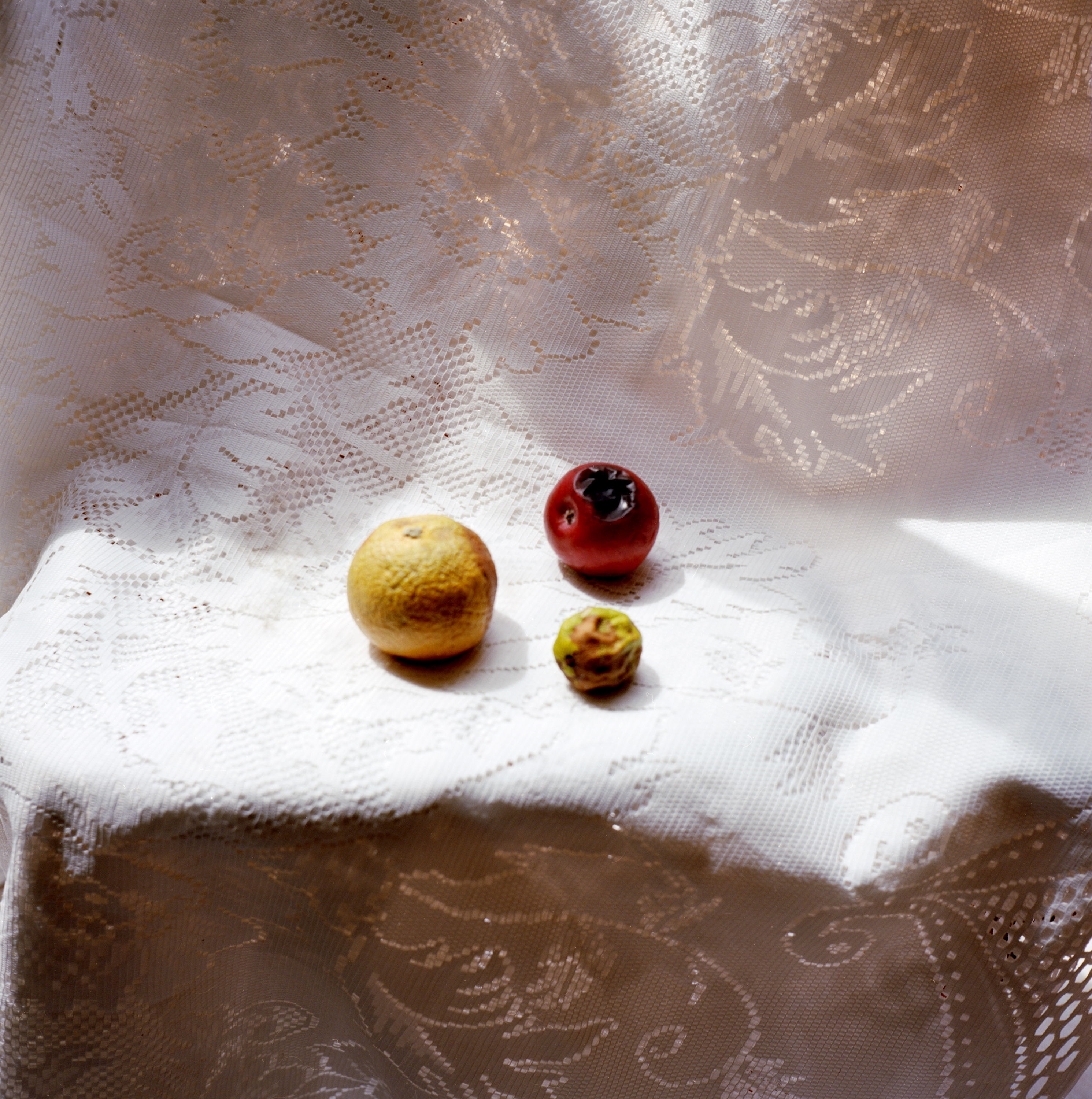 What Was Left Behind