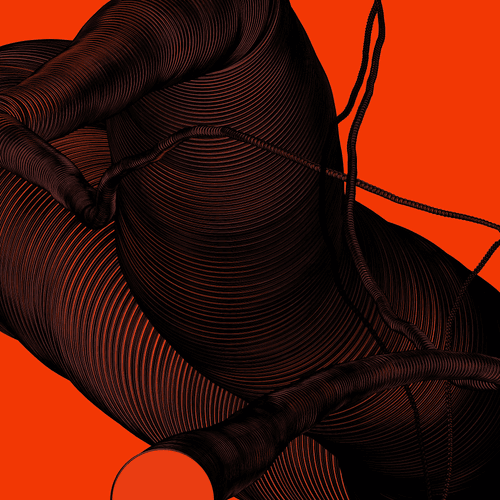 Wormhole #505