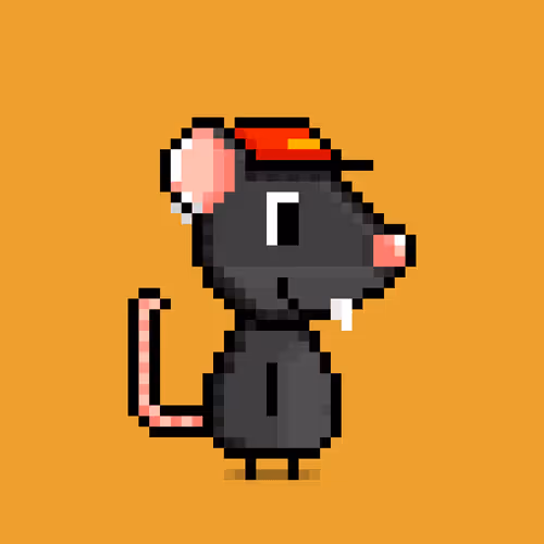 Gorgonzorat #404