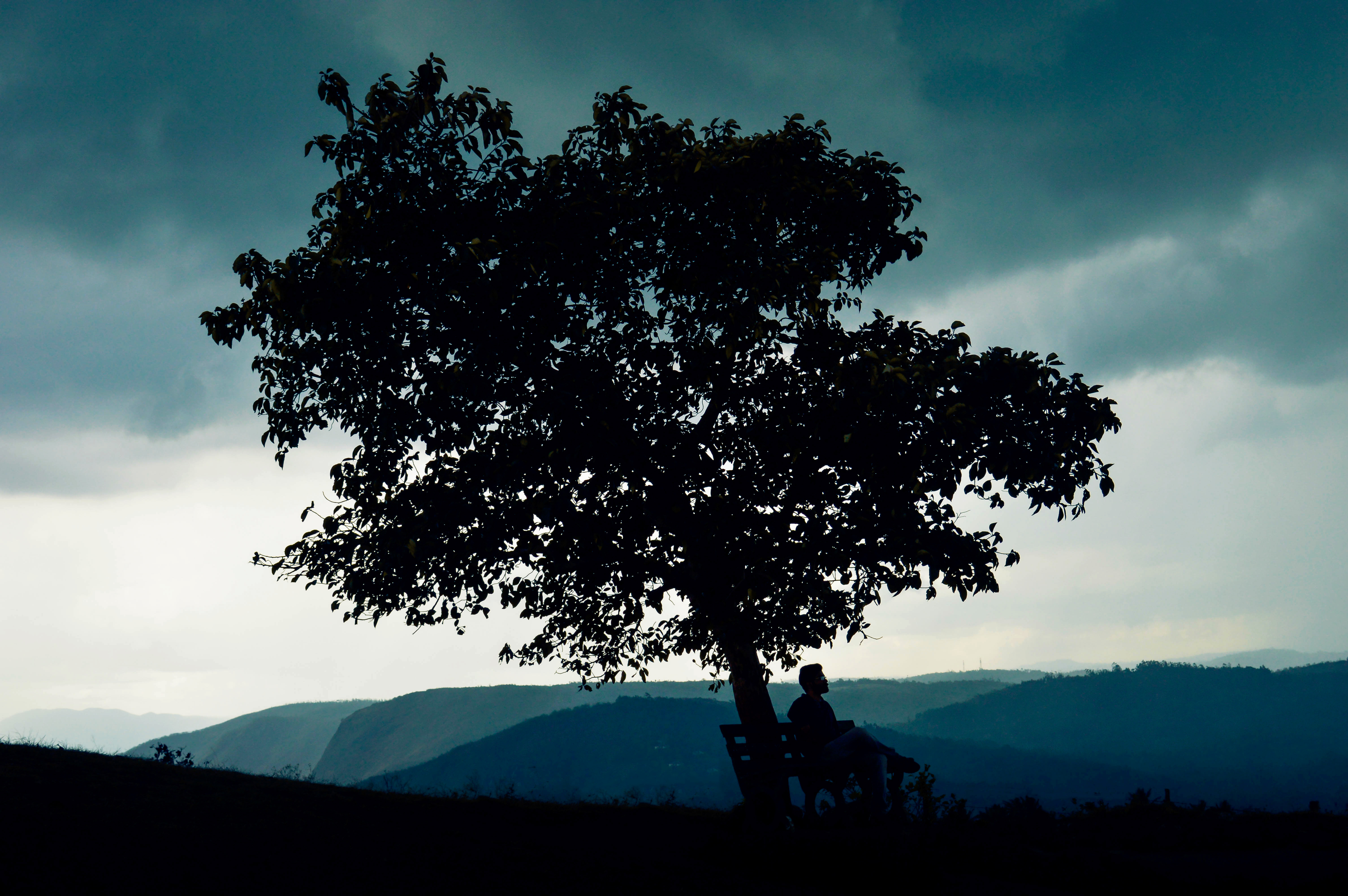 Caught in His Thoughts