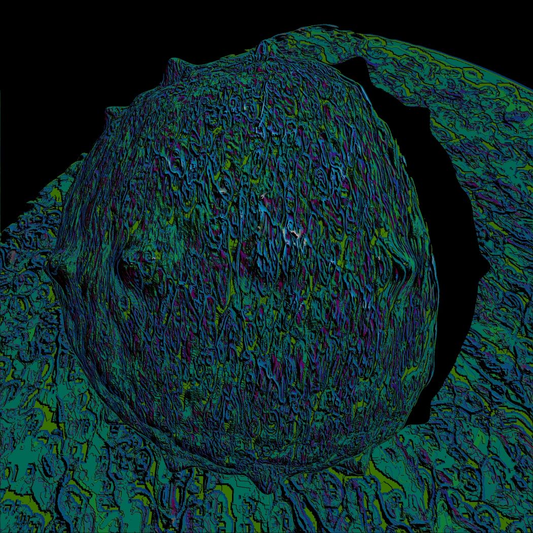 collage image-2 for the collection