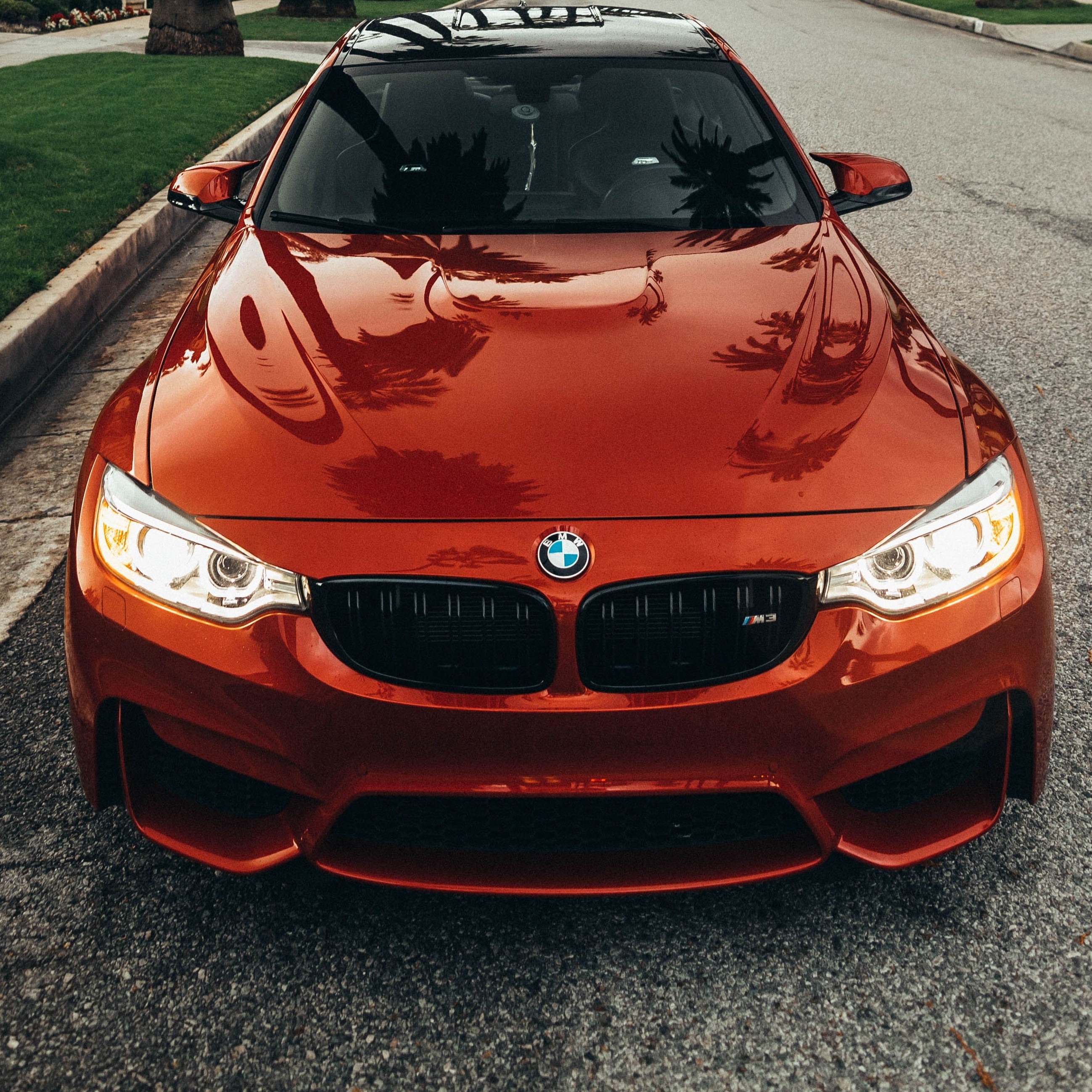 opentooffers.eth Ethereum Name Service (ENS and .eth domain) PFP