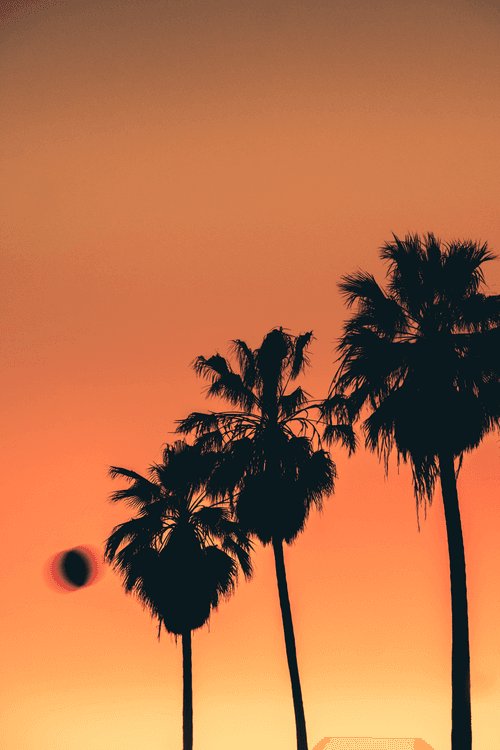 Somewhere Else: 092 - Swish