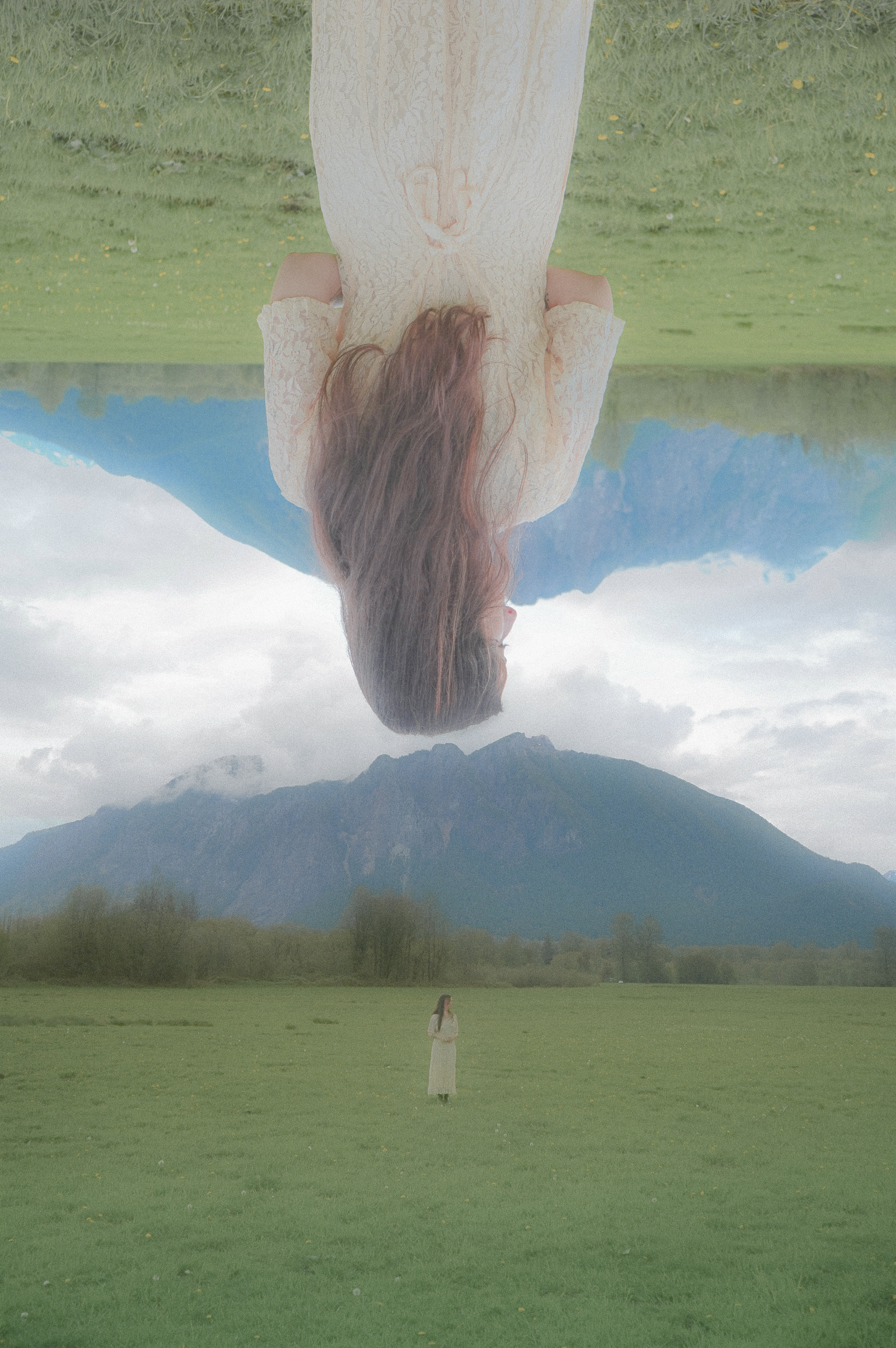 The Dreamer