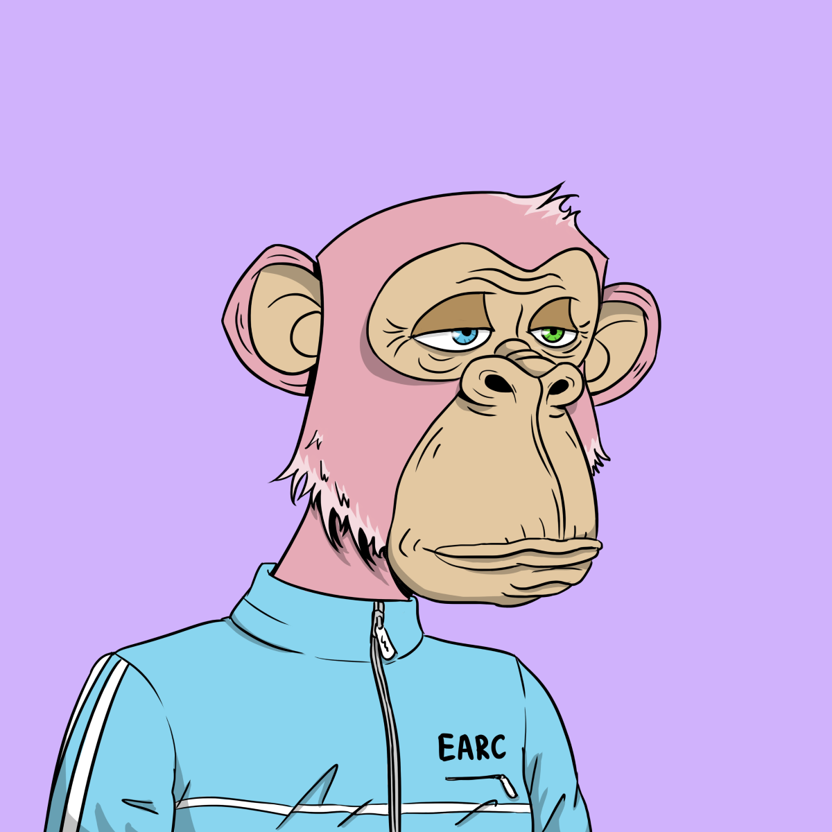 Elderly Ape #3170