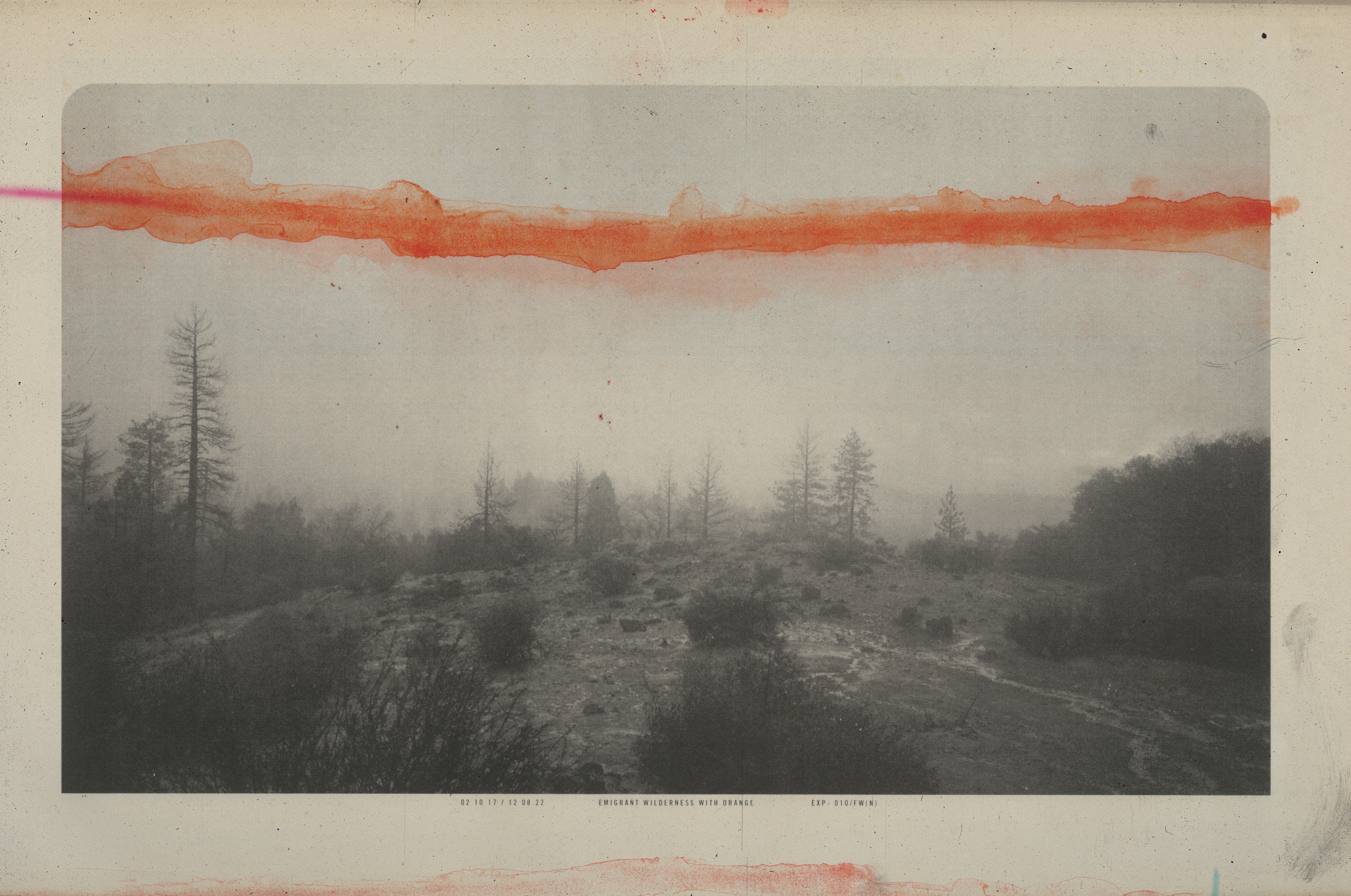 EMIGRANT WILDERNESS WITH ORANGE #10/13