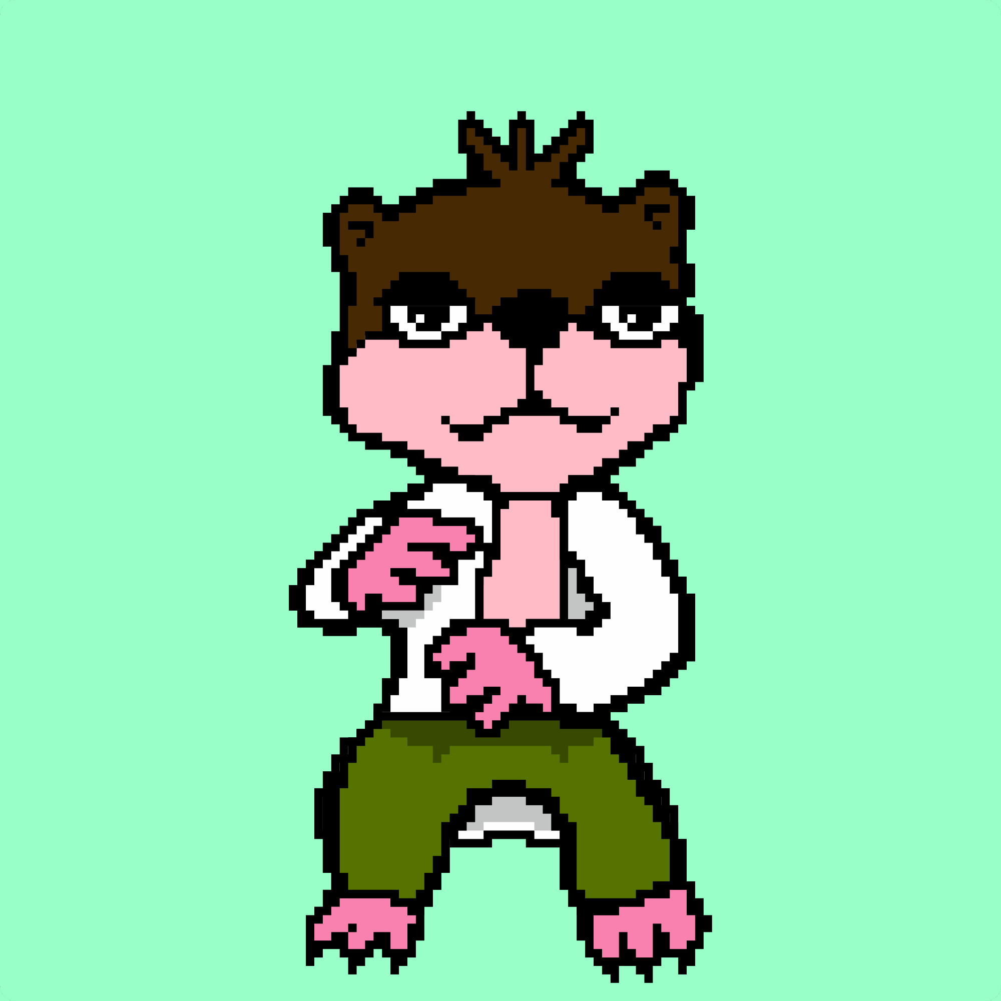 Combat Wombat NFTs #3031