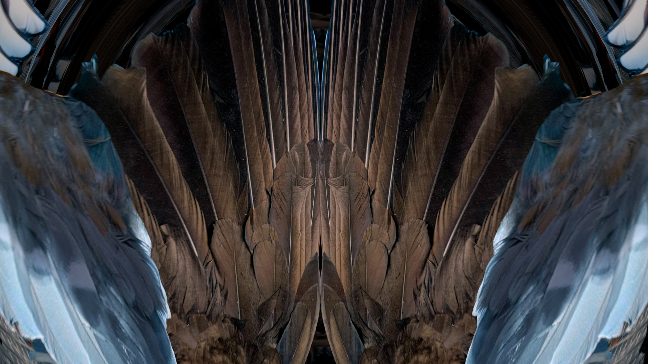 Fuga delle Sirene XXXVII