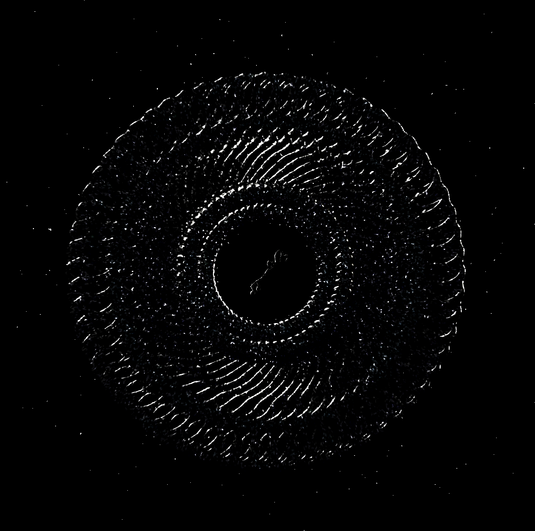 Keys of the Collective #33