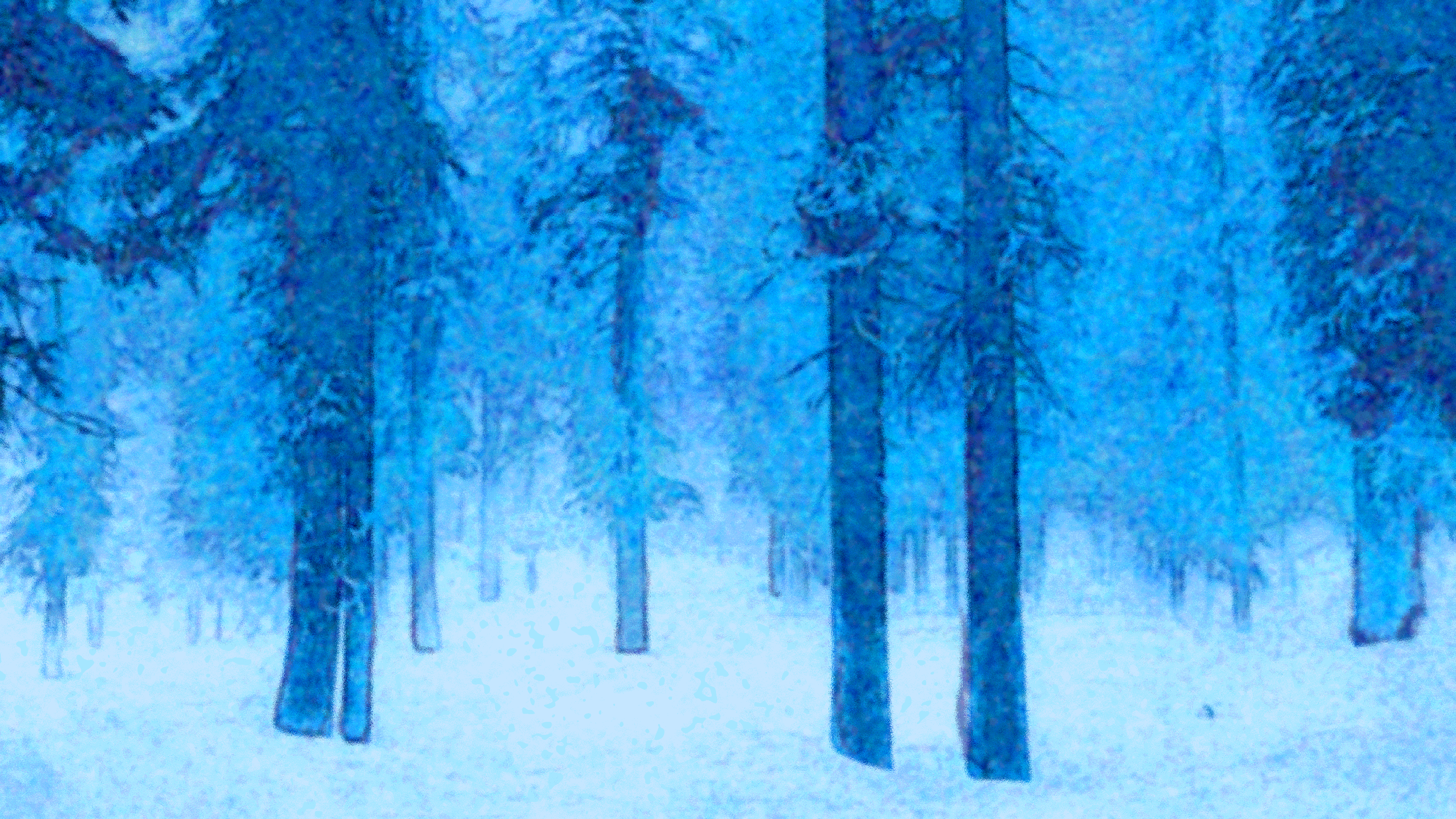winter pine
