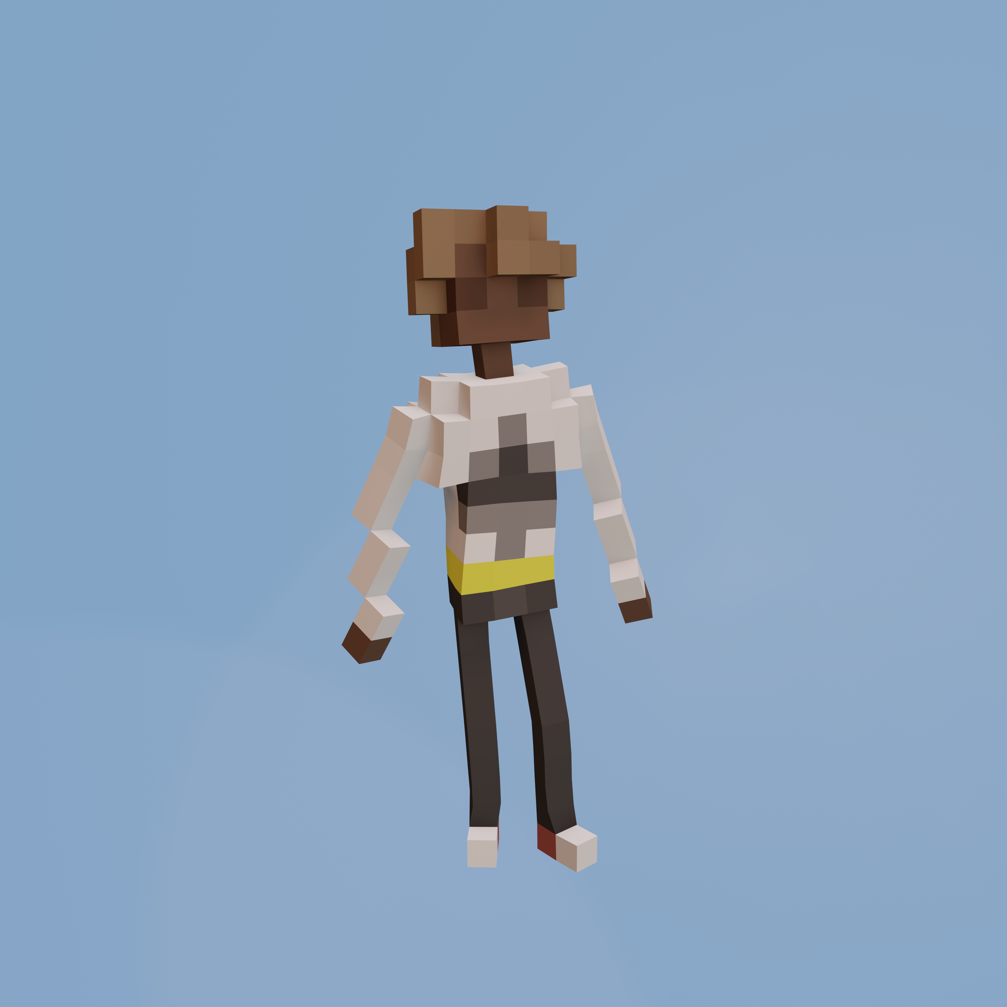 Voxel Ville Avatar #1248