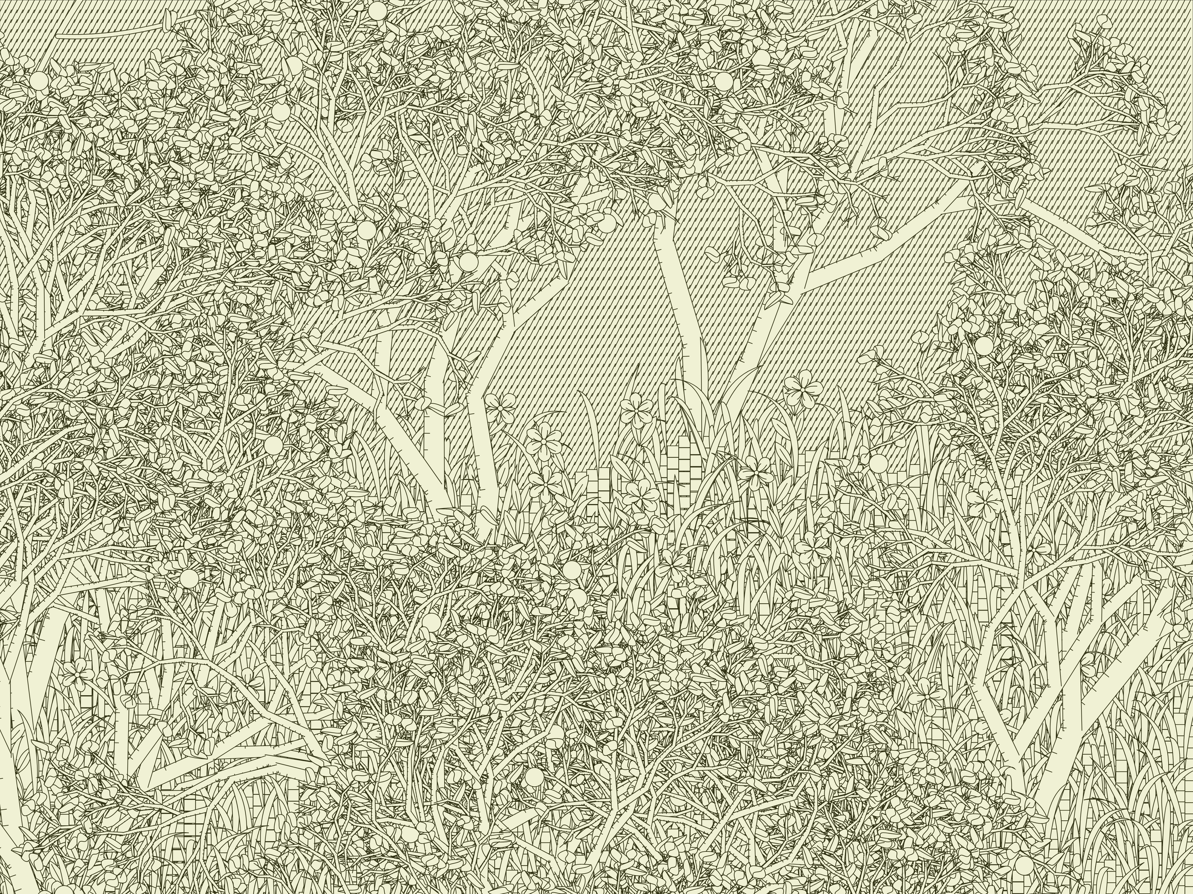 Entangled #277
