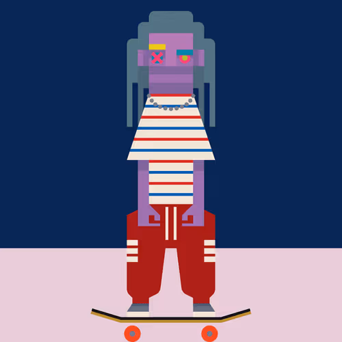 Zerocross Boarder #3979