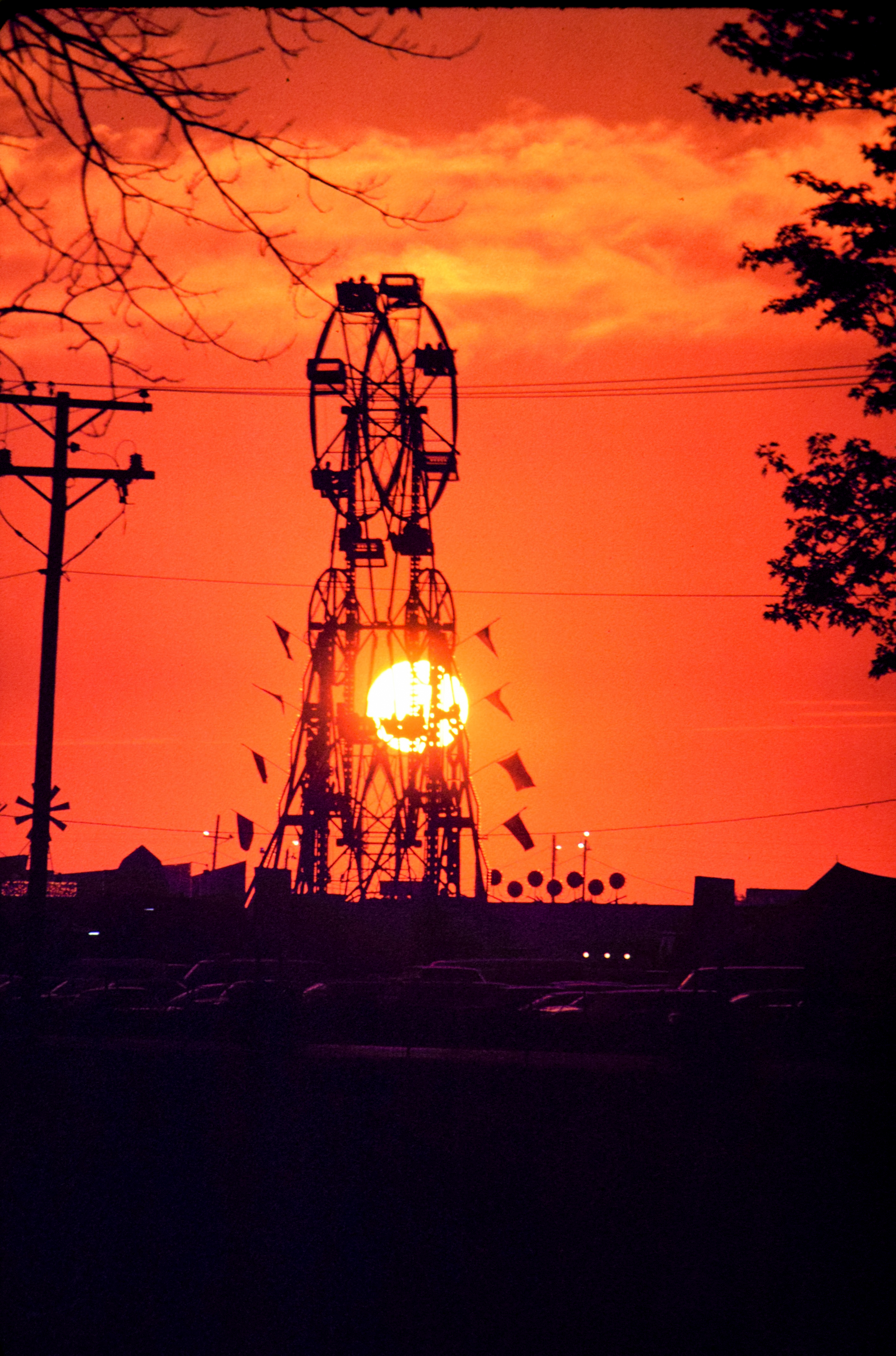 The Last Time We Were Young #15