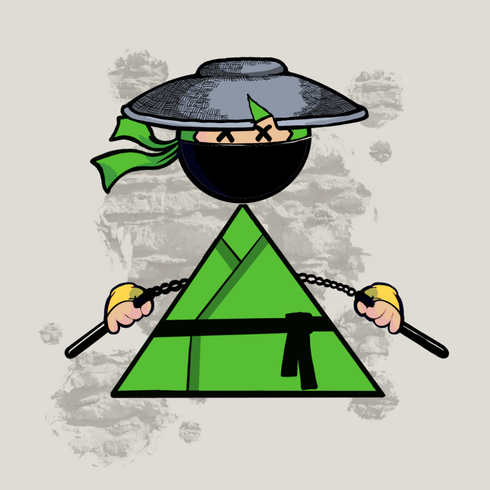 Shape Ninjas #1300