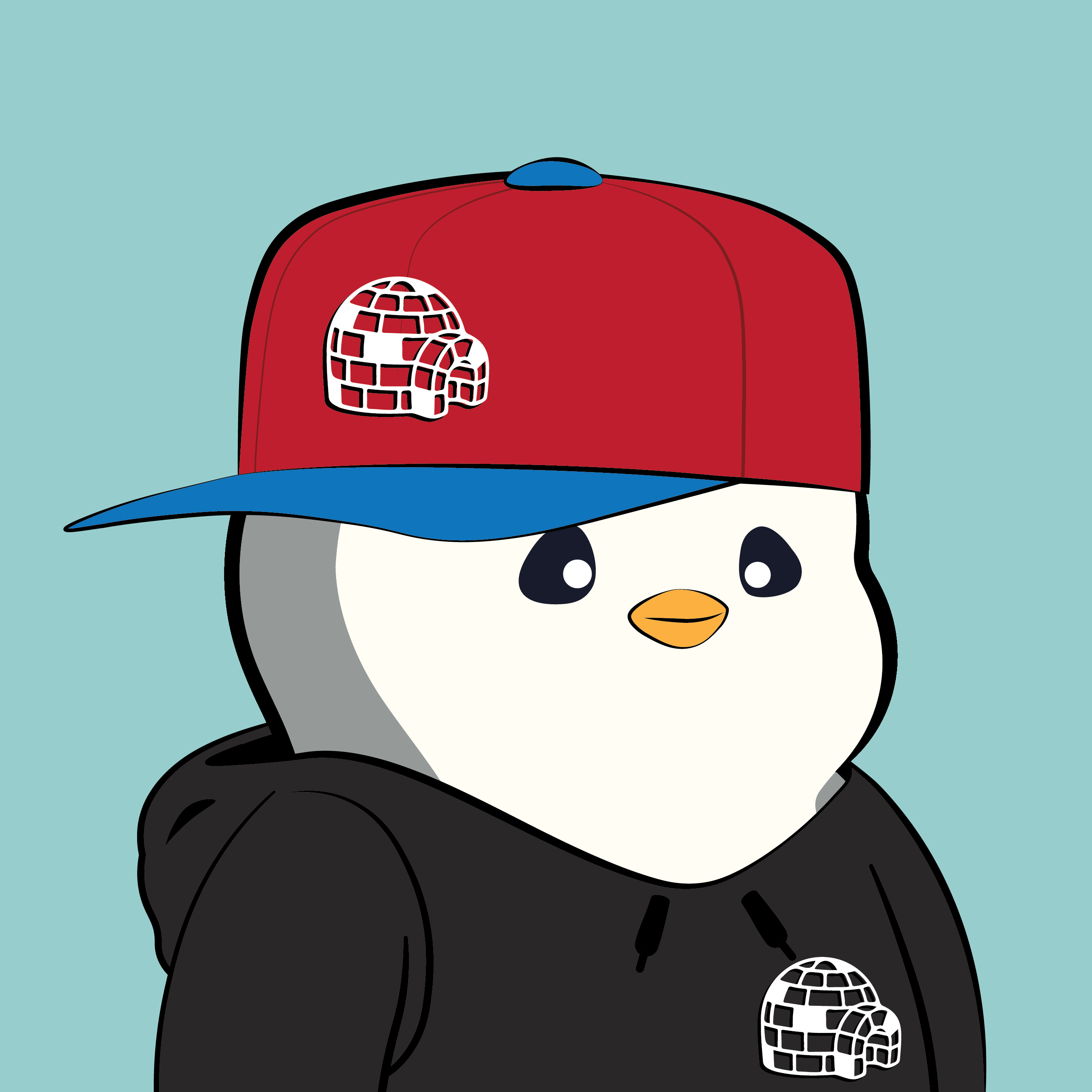 Pudgy Penguin #893