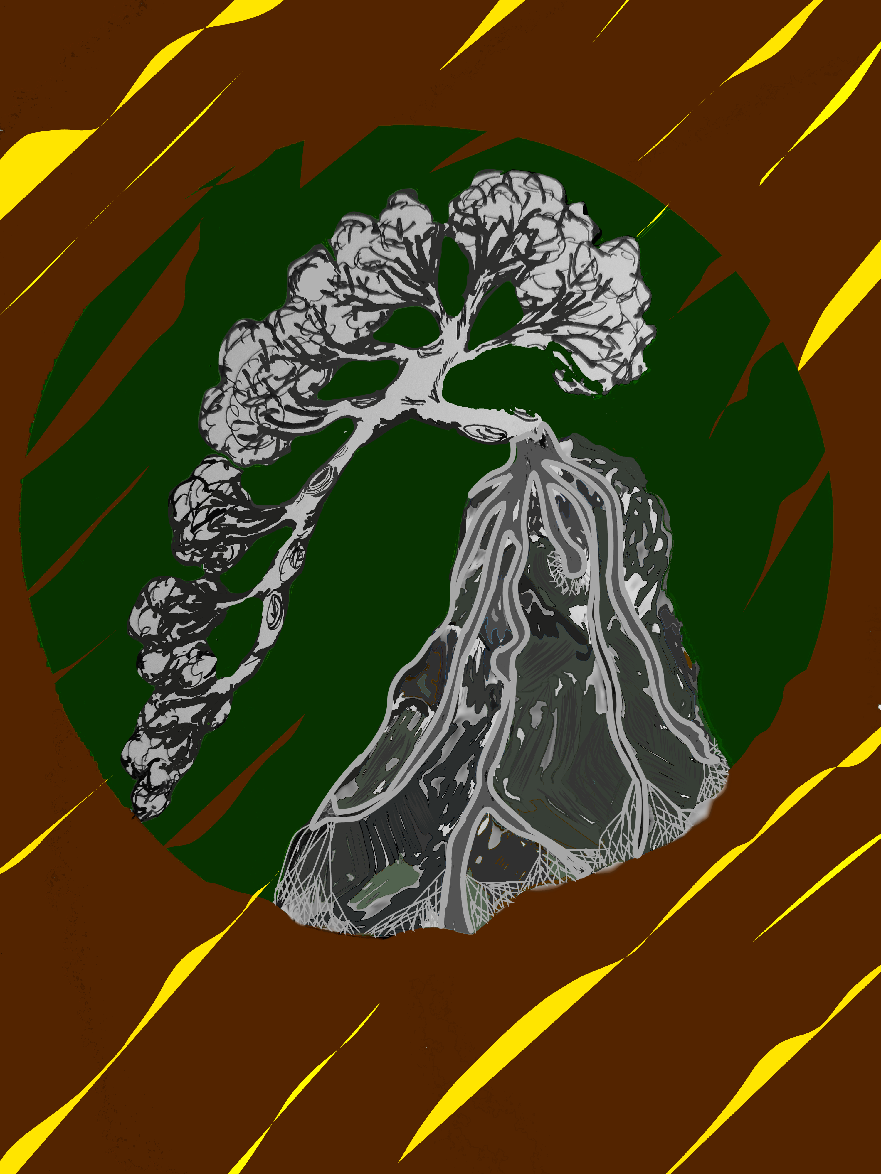Root on the rock Cascade style bonsai