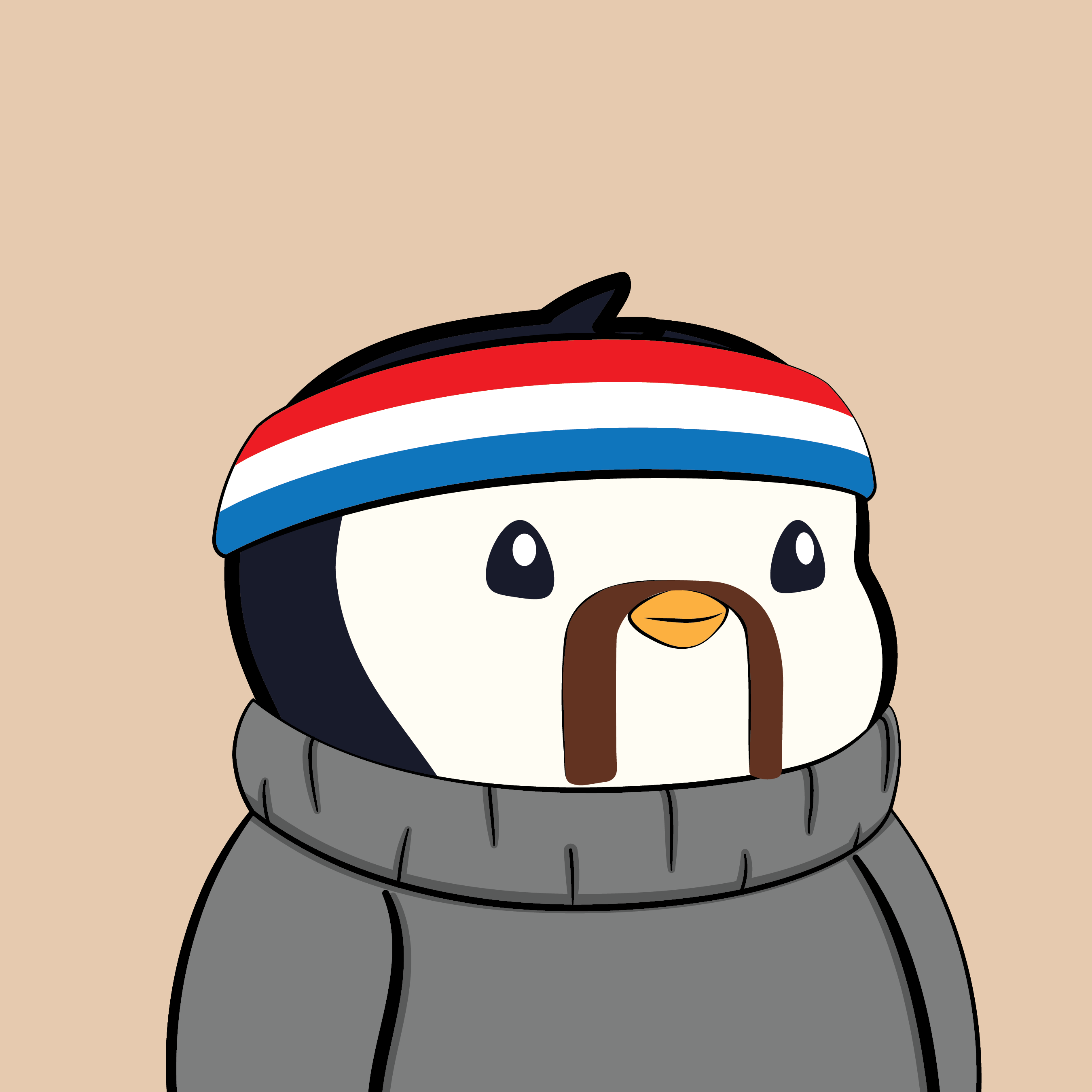 Pudgy #4999
