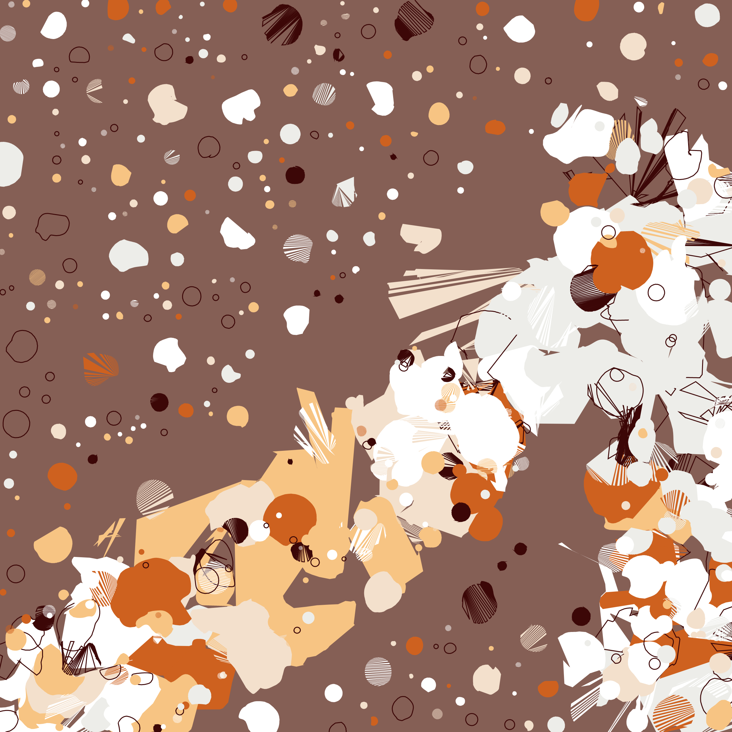 Coquina #129