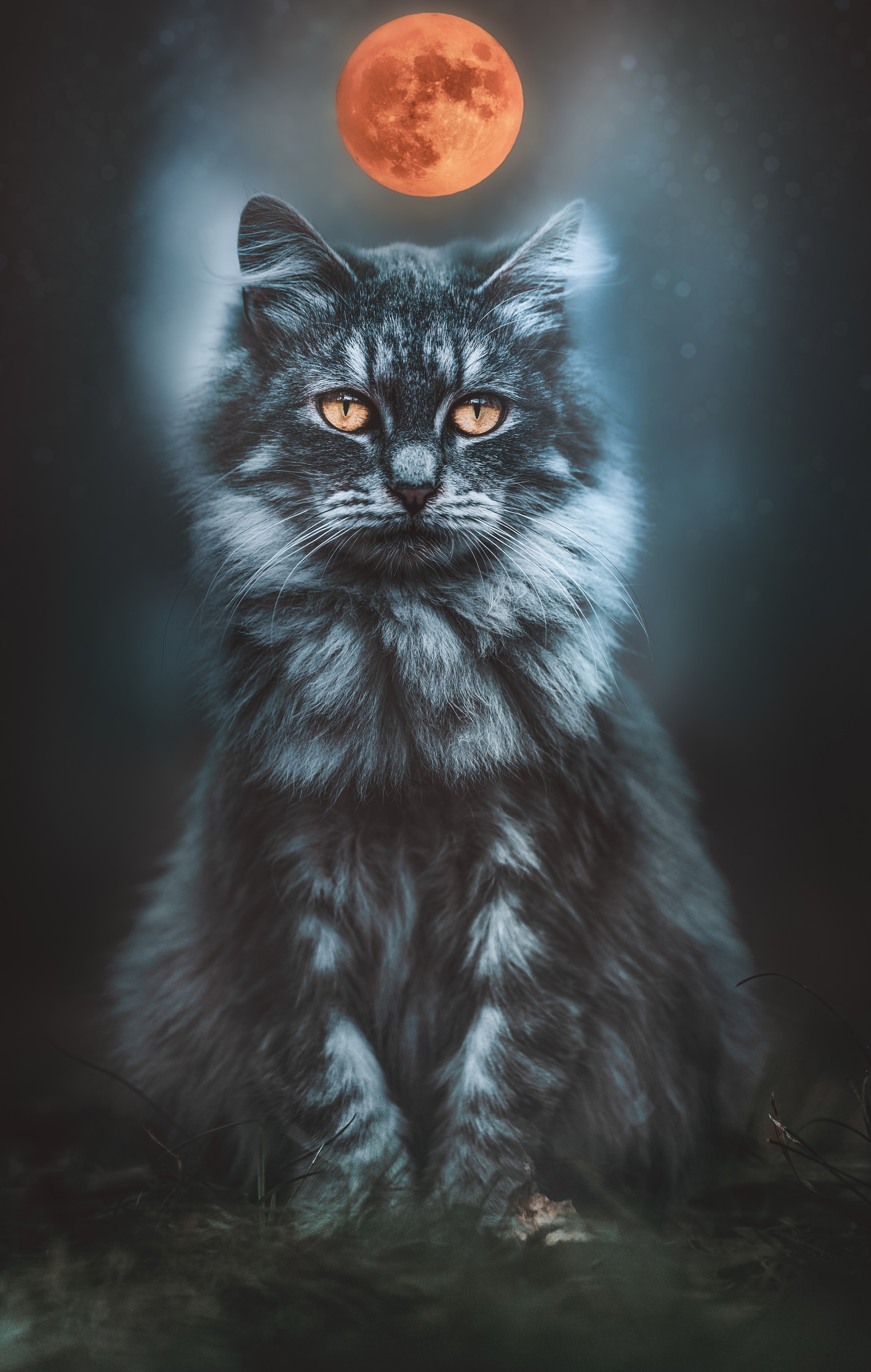 BLOOD MOON FELINE