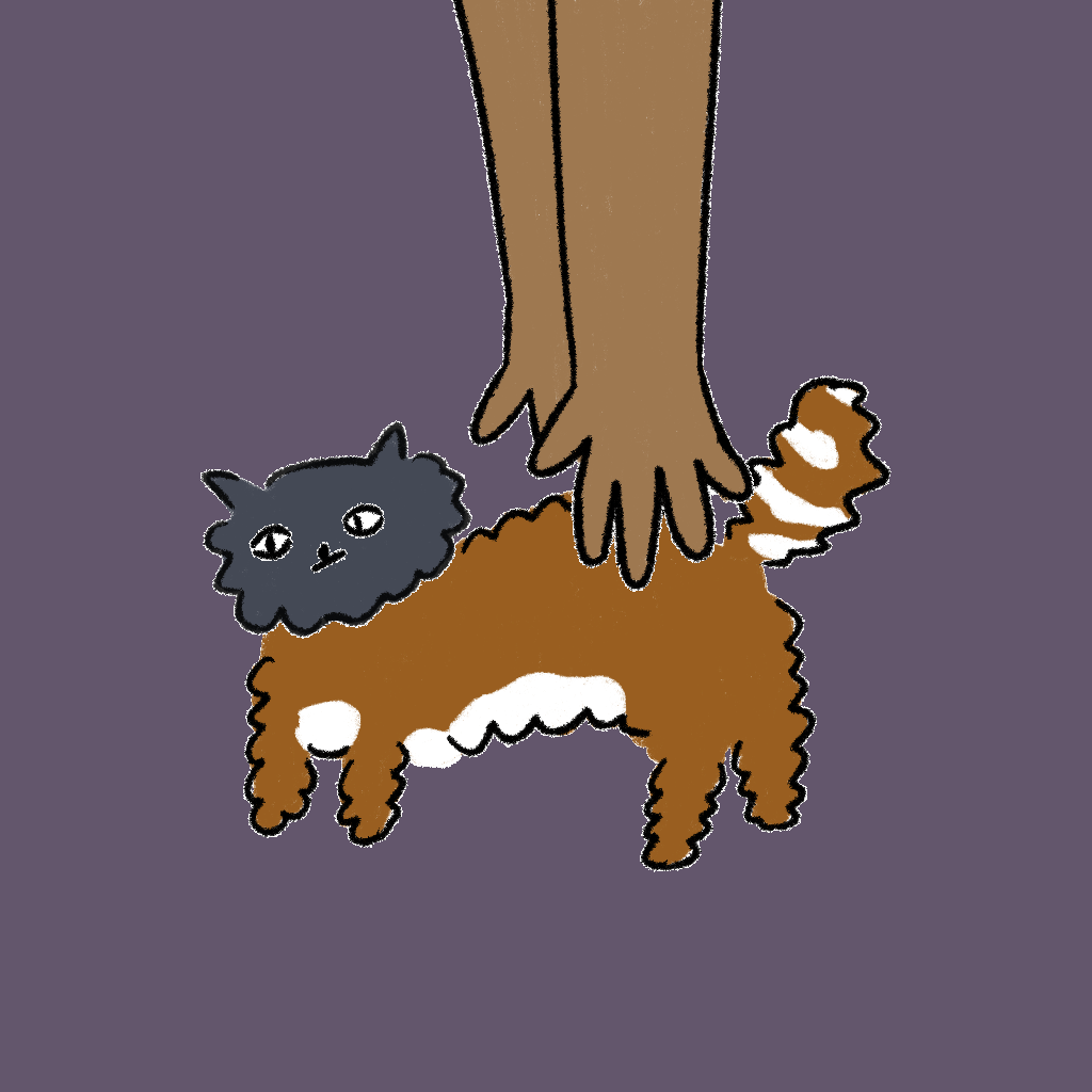 #3392 Hashimoto Cat