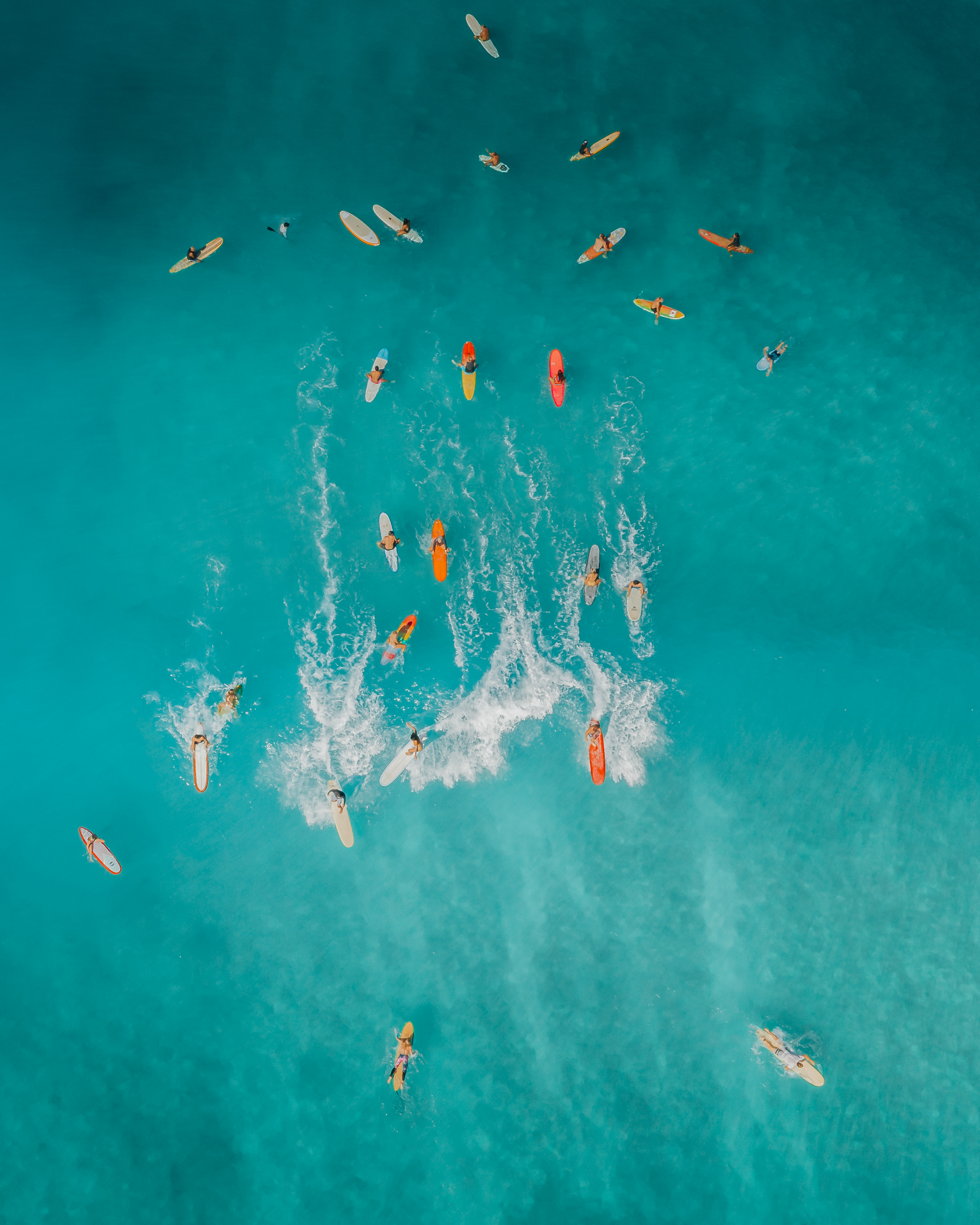 Pacific Sprinkles #8/12