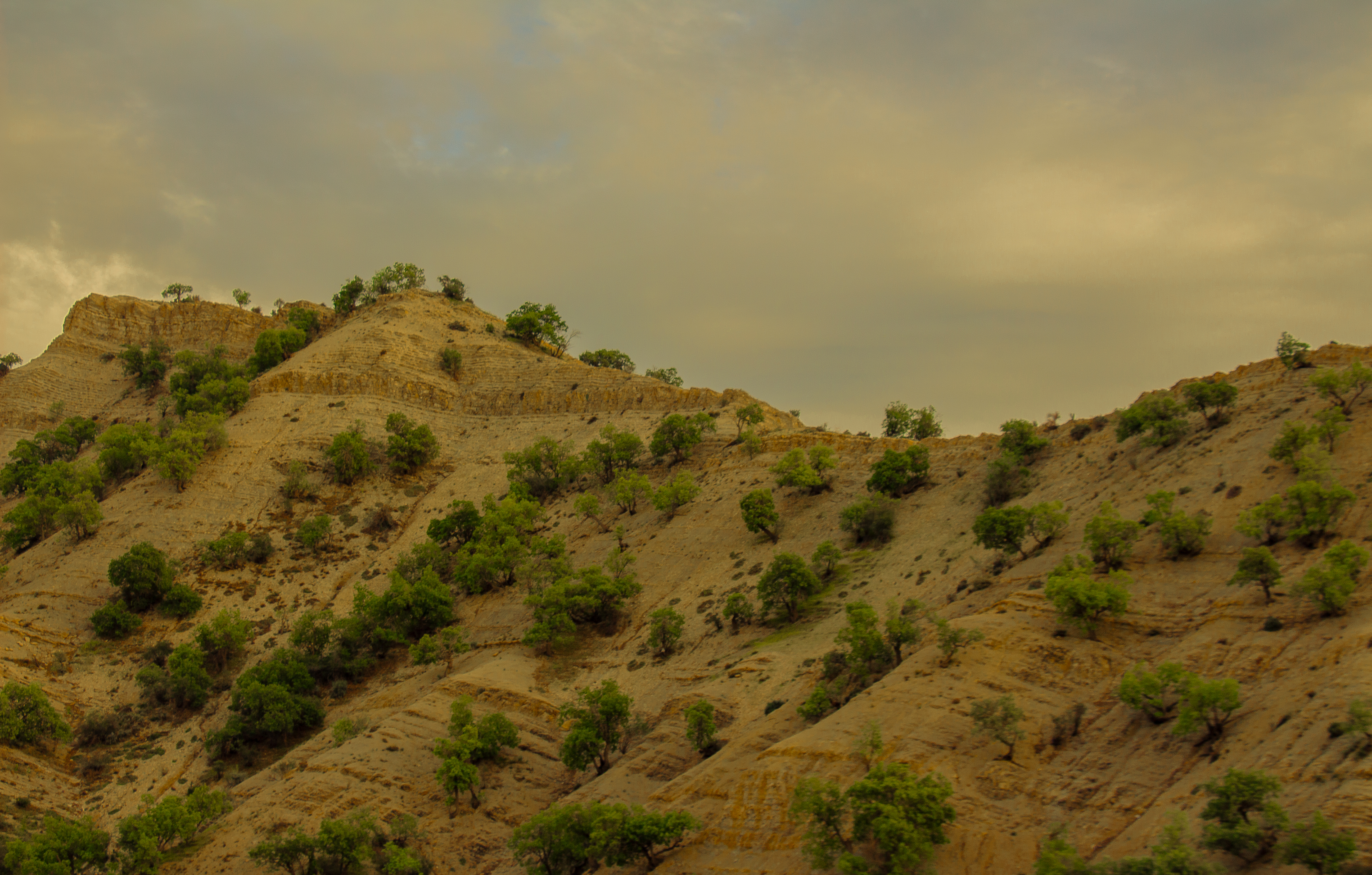 Whispers of the Dry Hills