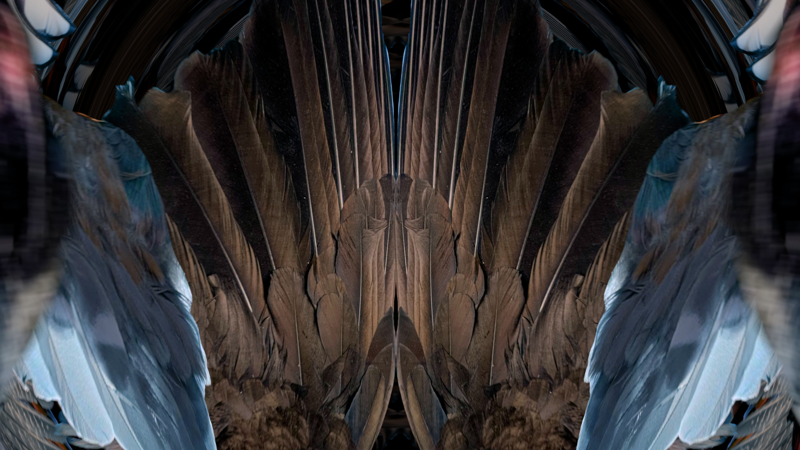 Fuga delle Sirene XXXVI