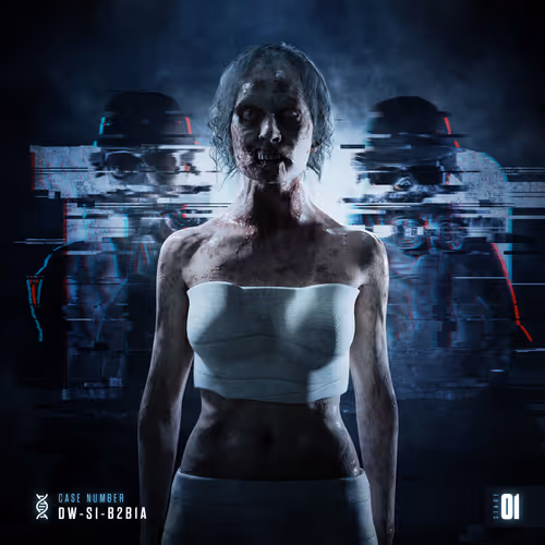 Stage 01: DW-S1-B2B1A