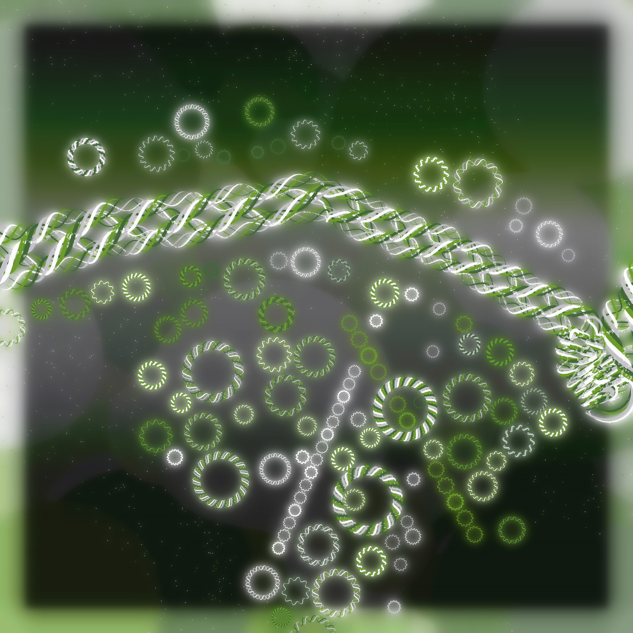 Friendship Bracelets #20884