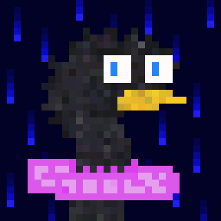 Canto Longneck #1784