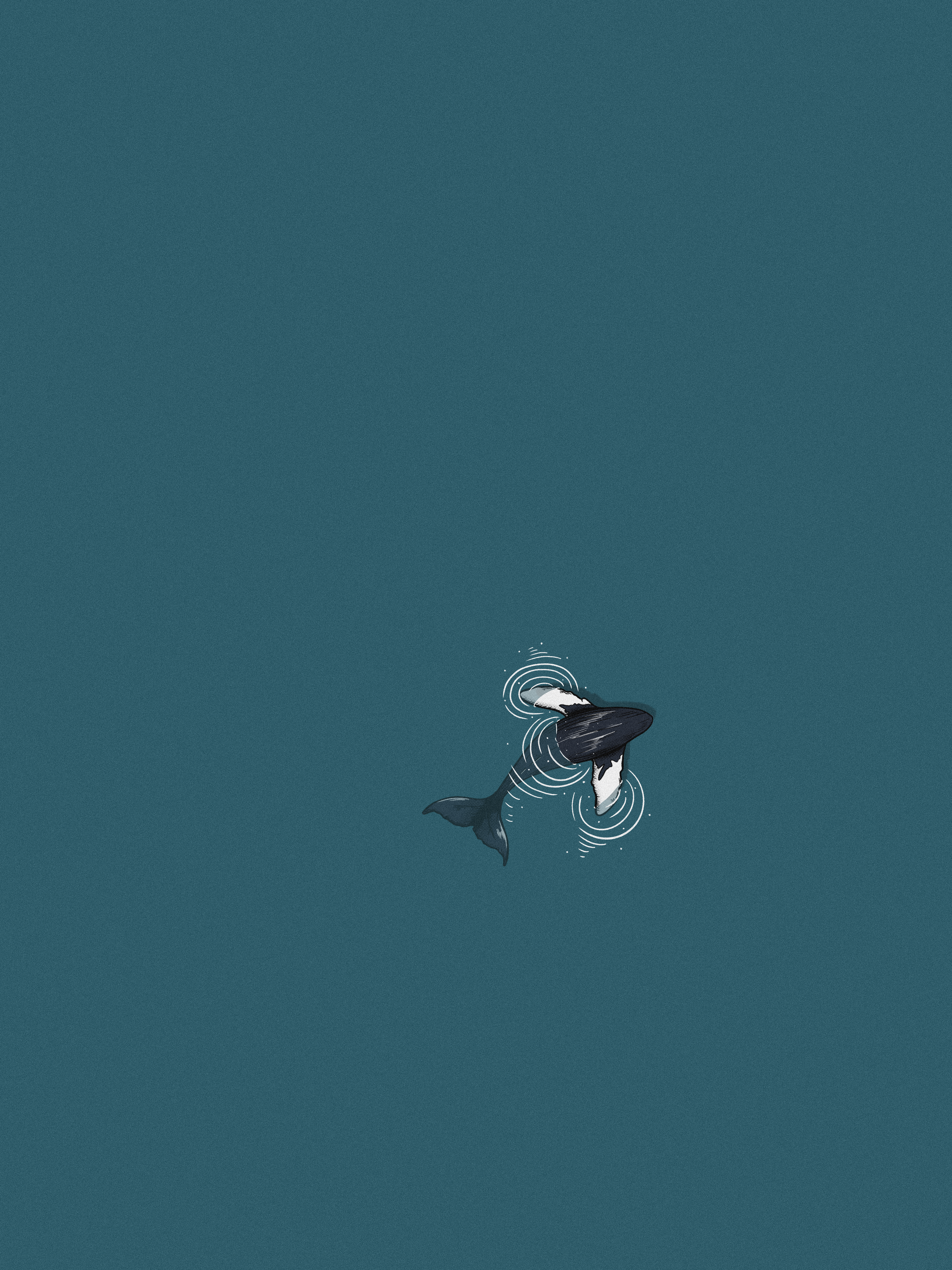 Whale