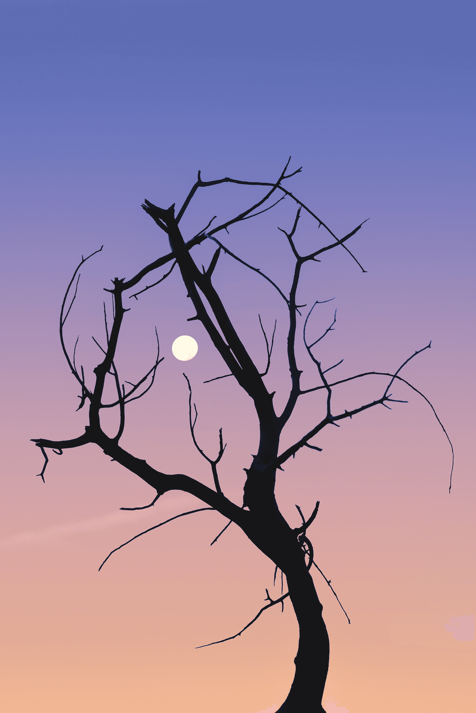 Shinigami Eye (死神の目)