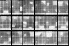 Chronophotograph 22