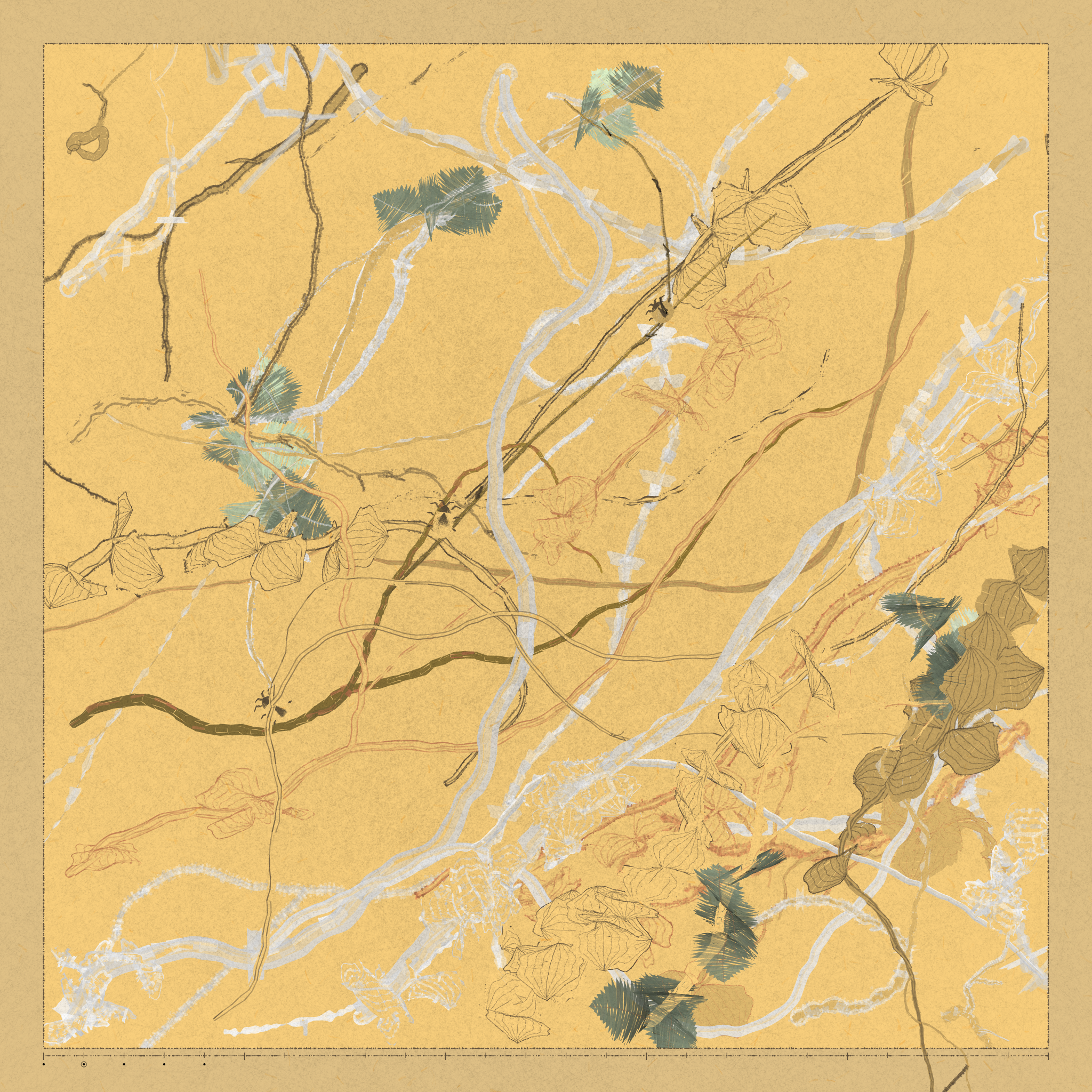 Polypaths | 植徑集 #450