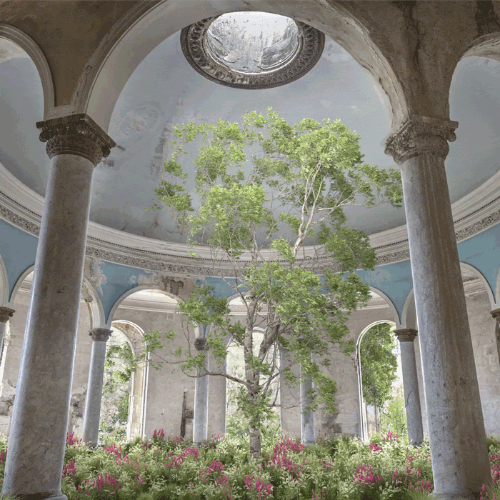 The Wild Within - 'Eternity'