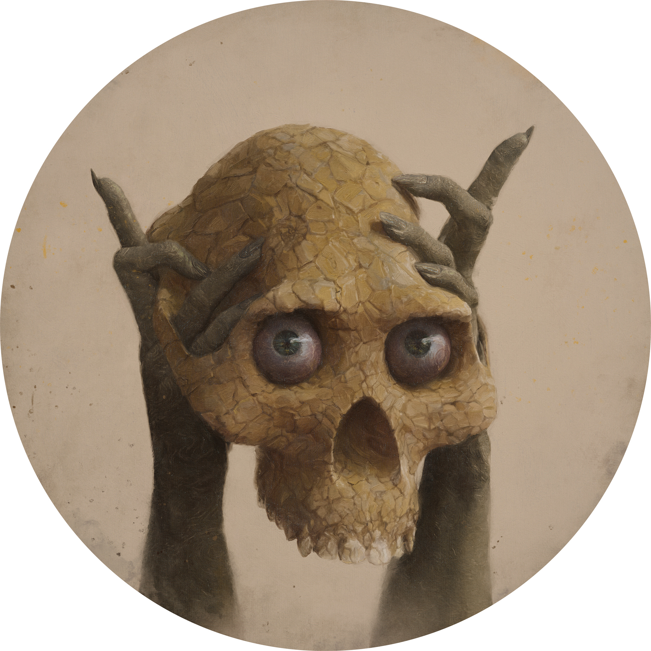 Salt Plains of Brooklyn