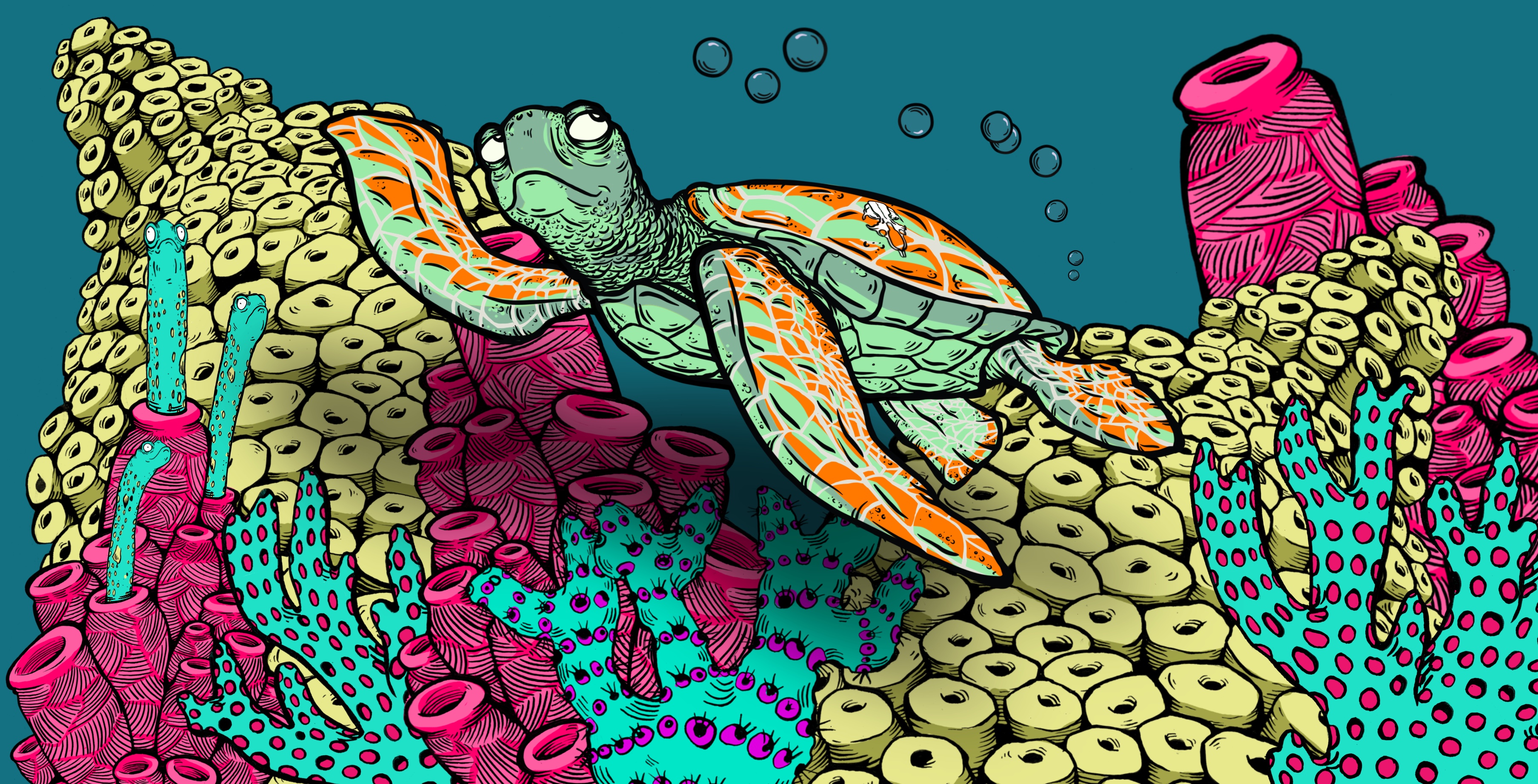 Turtledee of Ho’okipa Beach