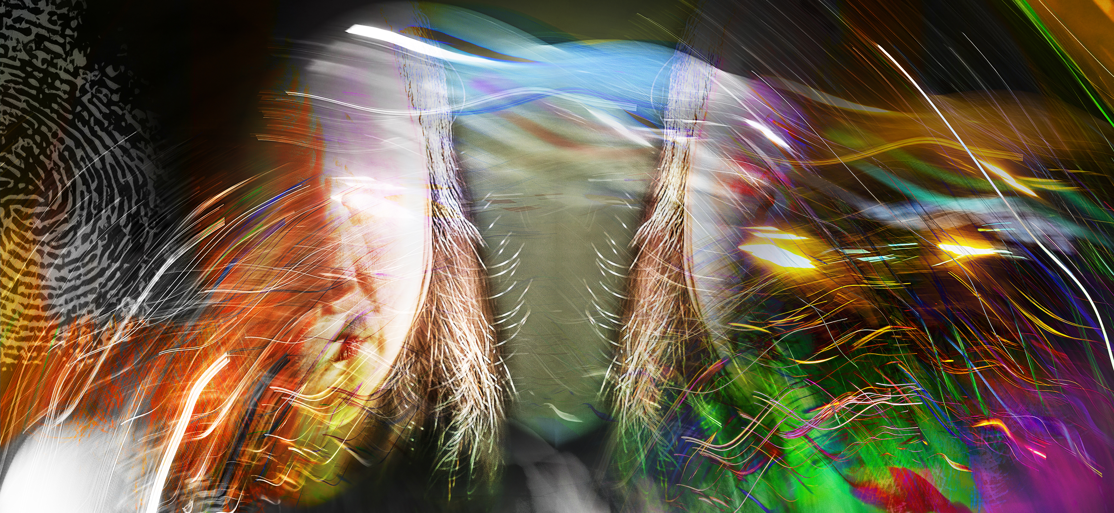 El·e·vat·ed CONNECT