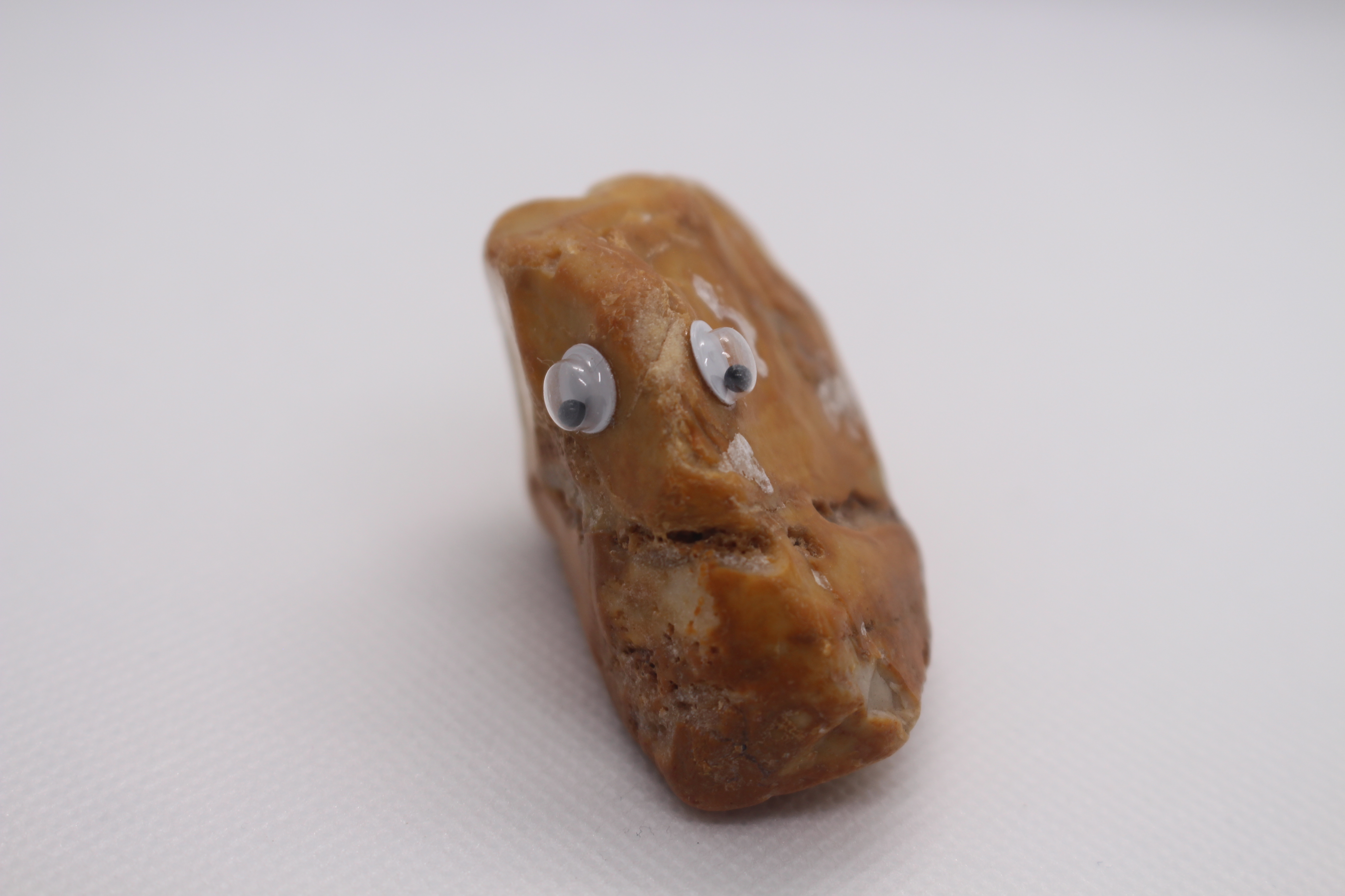 Googly Eyed Rock Club #19