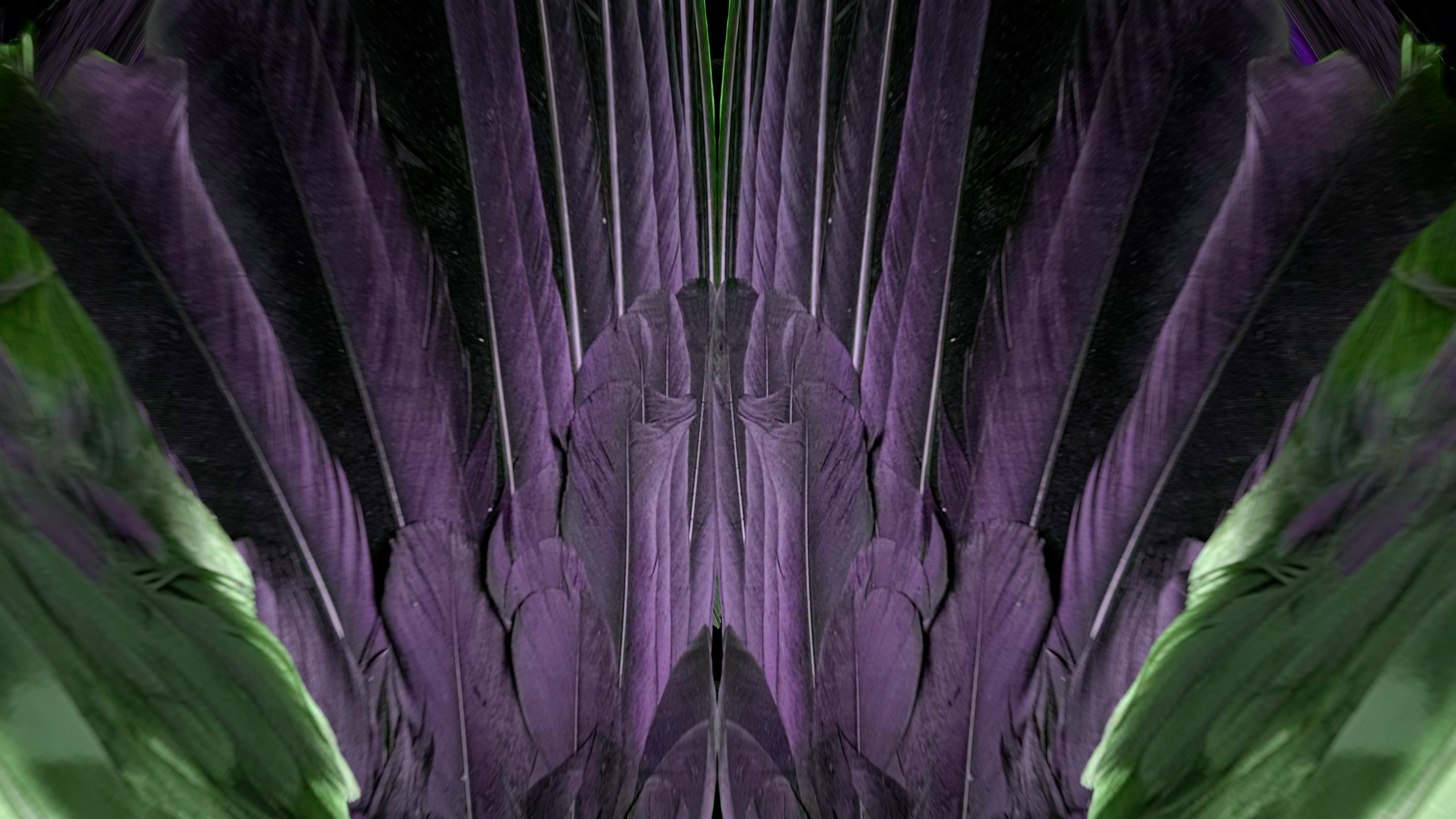 Fuga delle Sirene LXXVIII