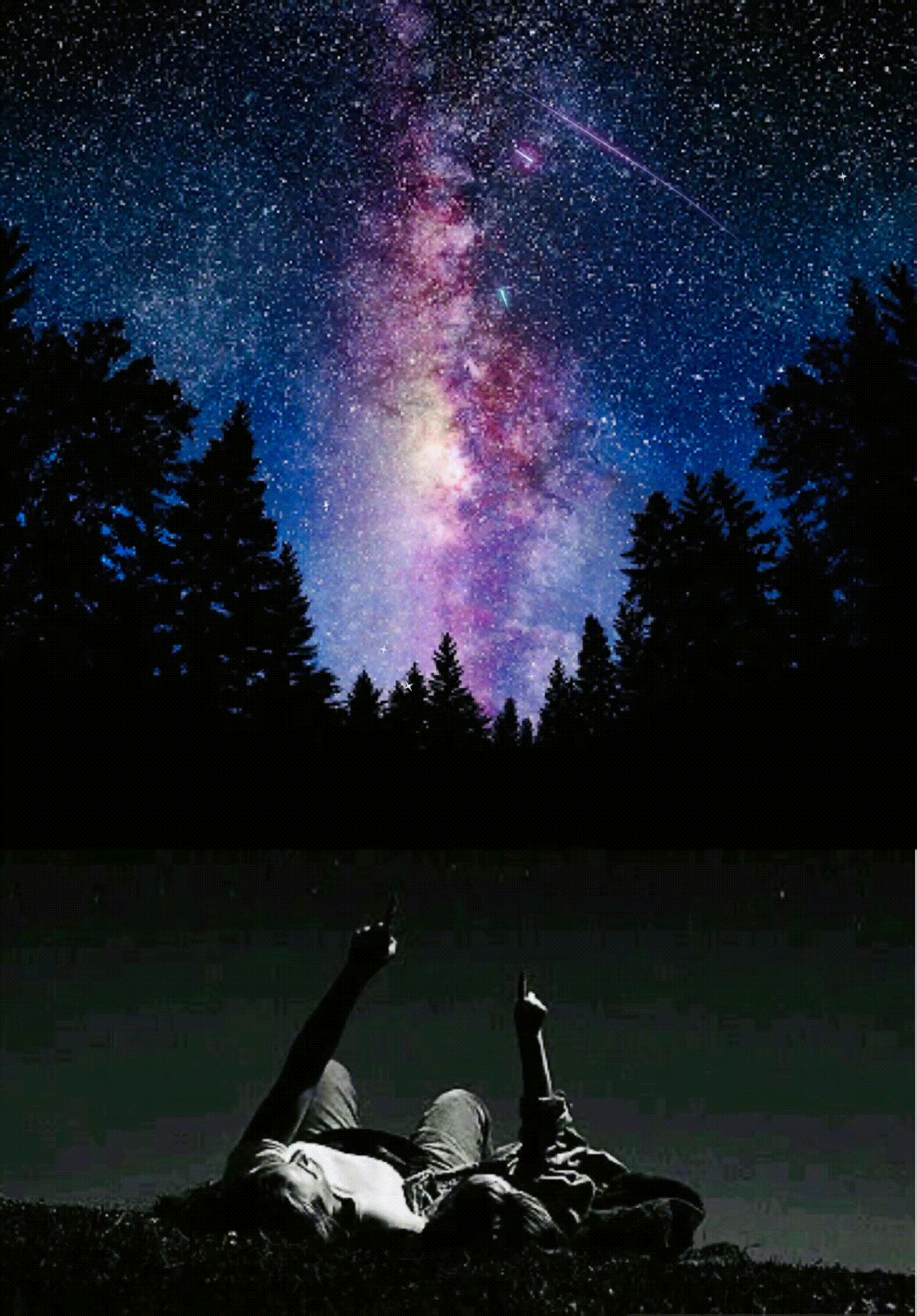 Stargazer