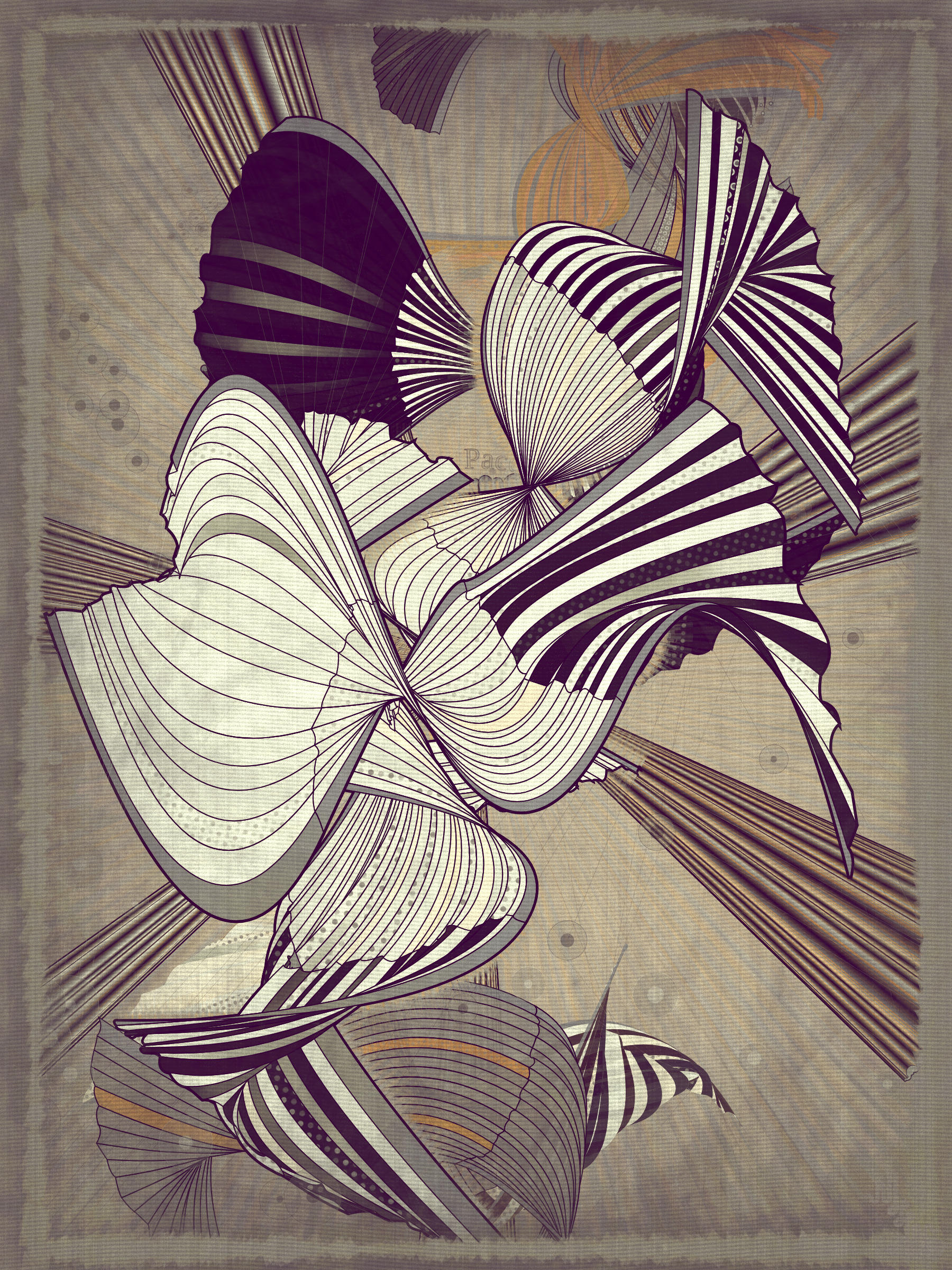Velum #37
