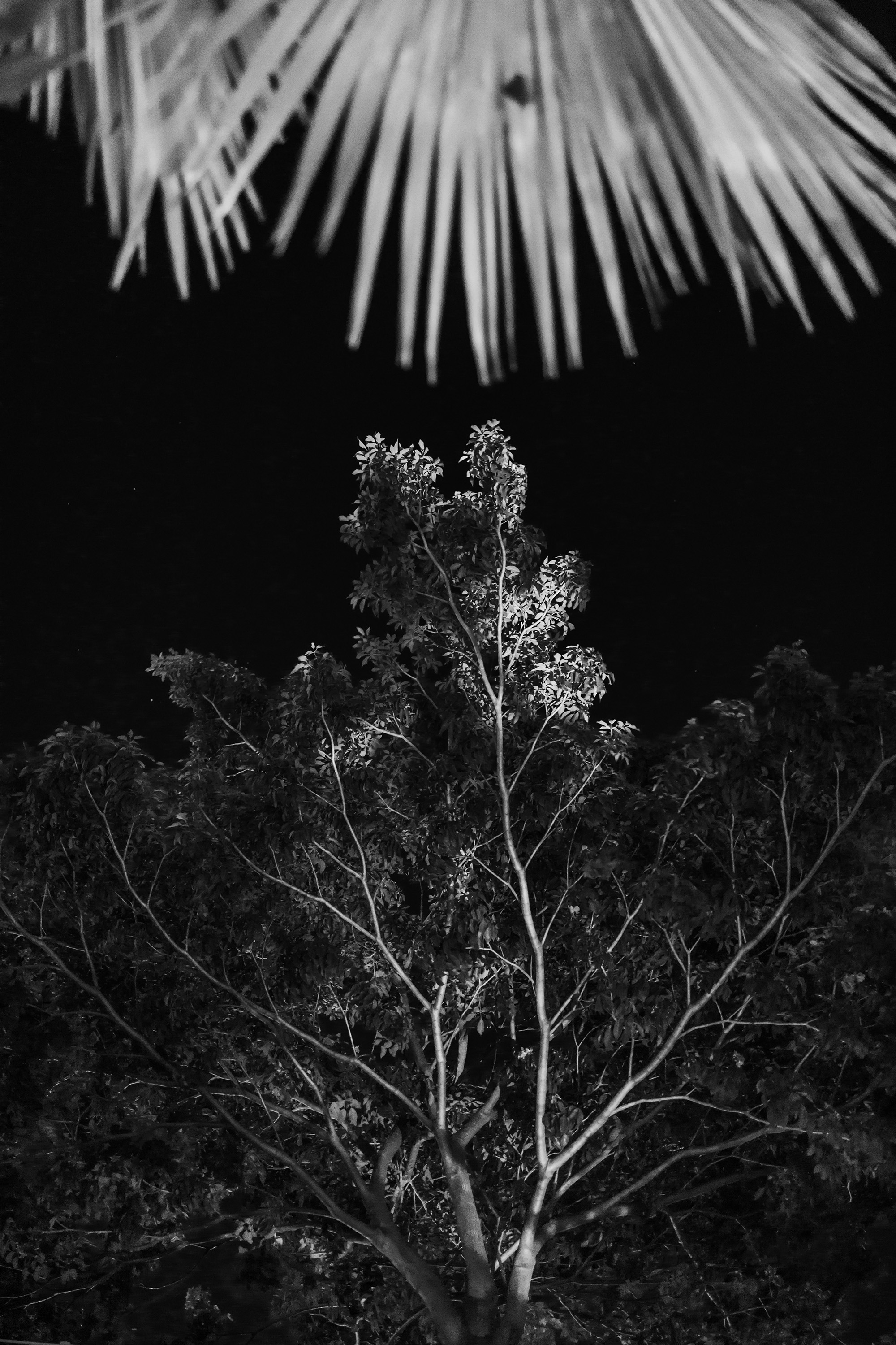 The Coast /sketch #02