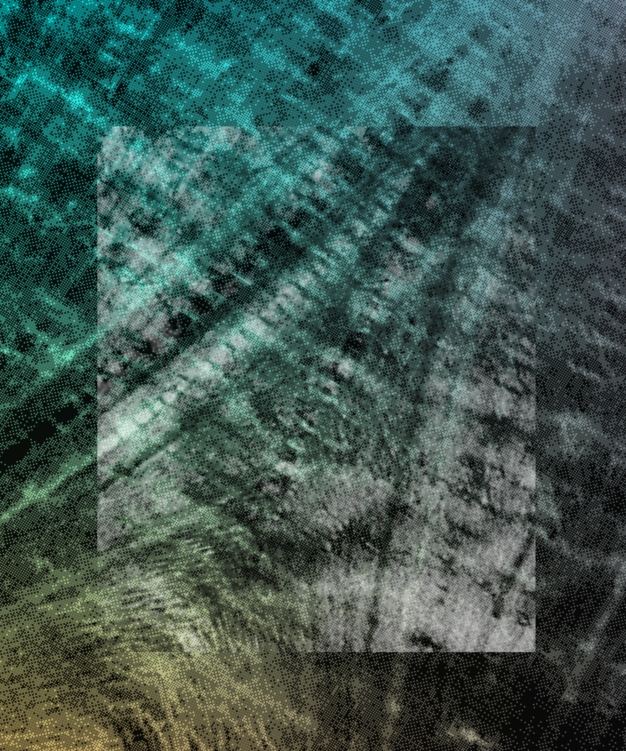 the spring begins with the first rainstorm #358